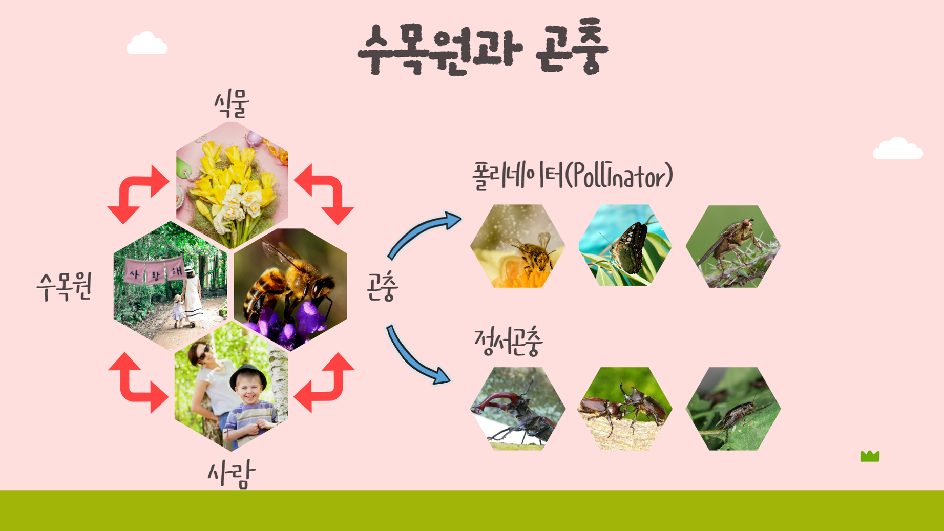 모두가행벅스 교육안내5.png