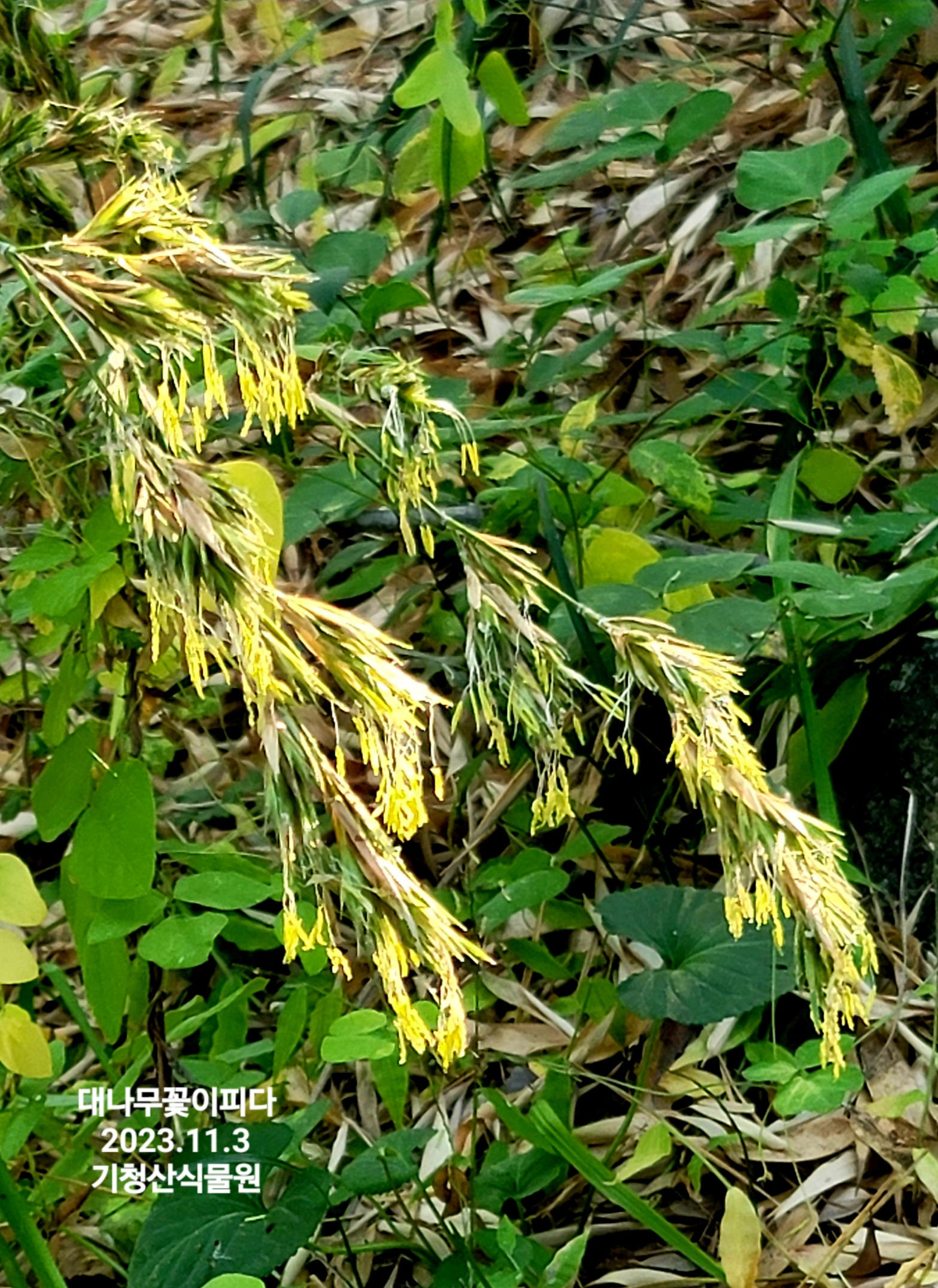 KakaoTalk_20231103_194850690.jpg