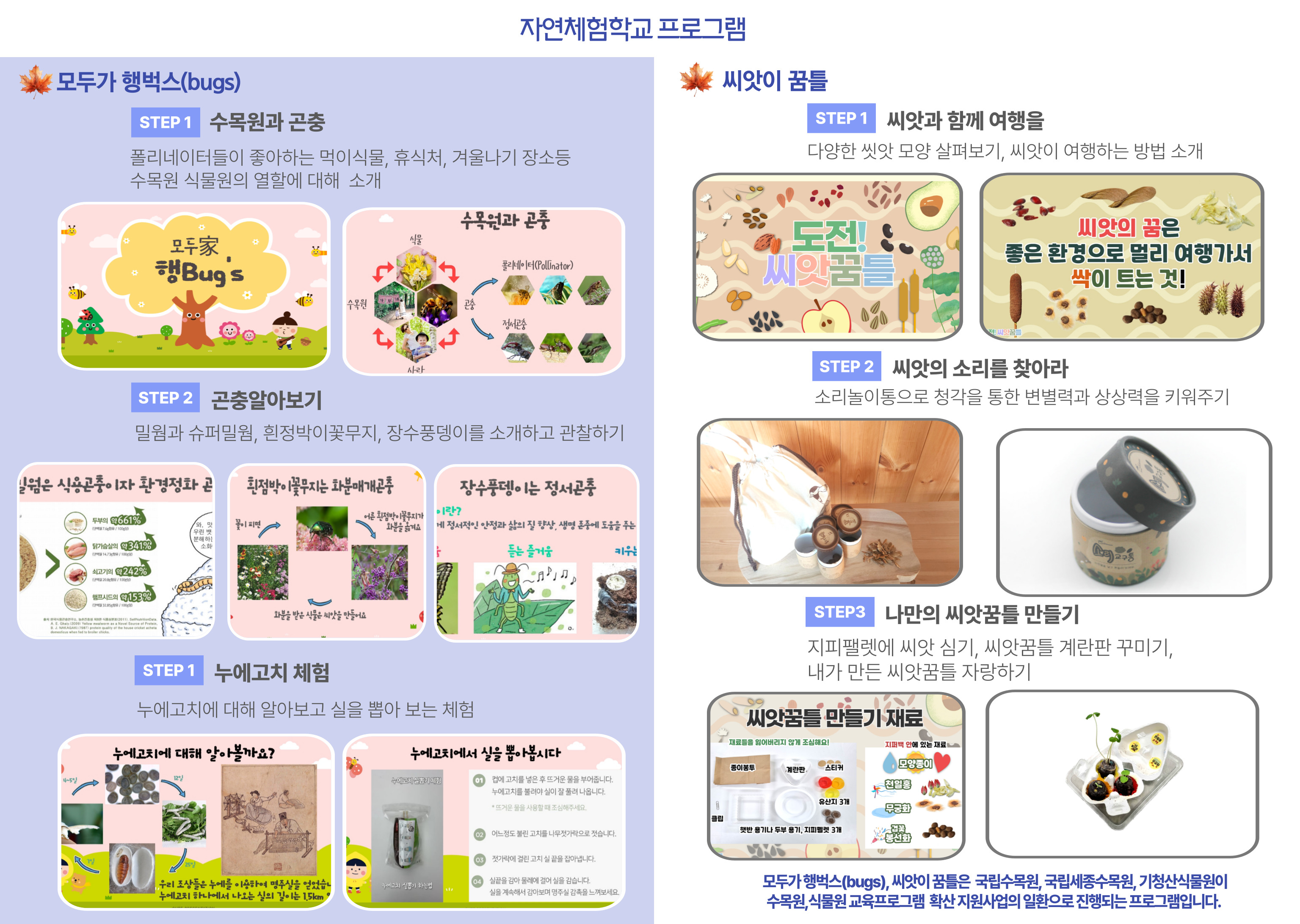 기청산식물원 자연체험학교,환경교육,체험학습,생물다양성교육3.jpg