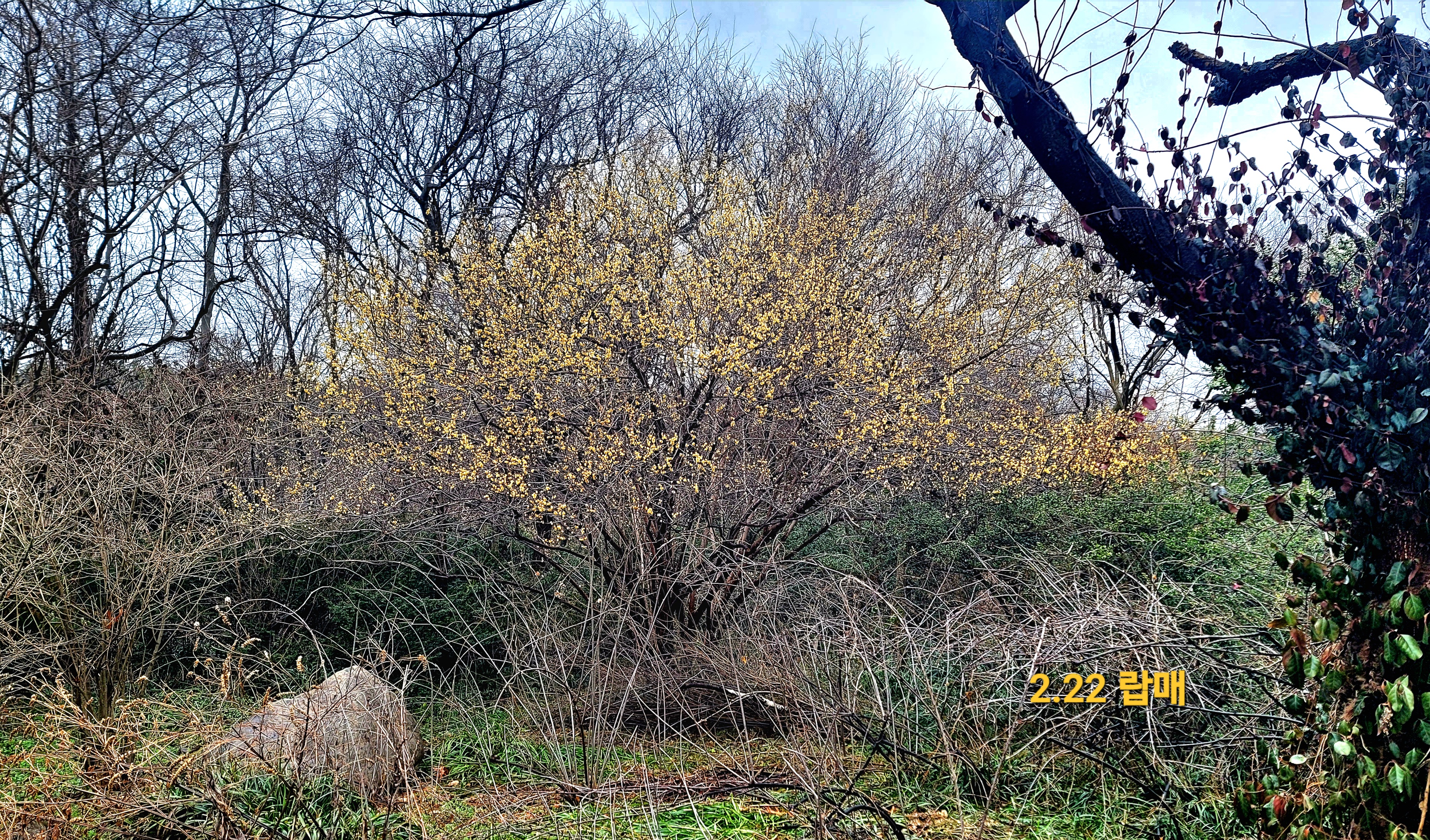 20240222_154434.jpg