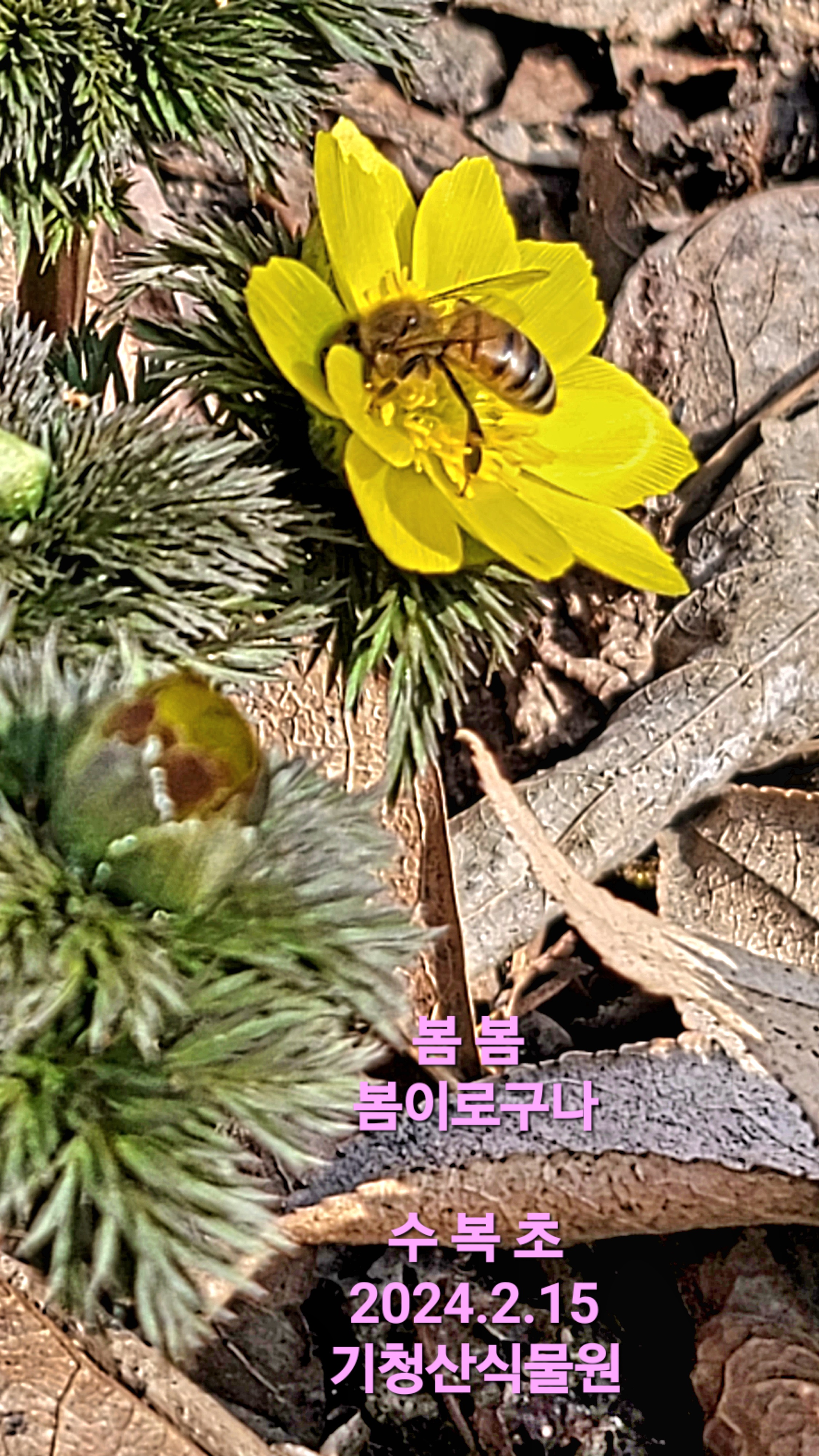 20240215_110342.jpg