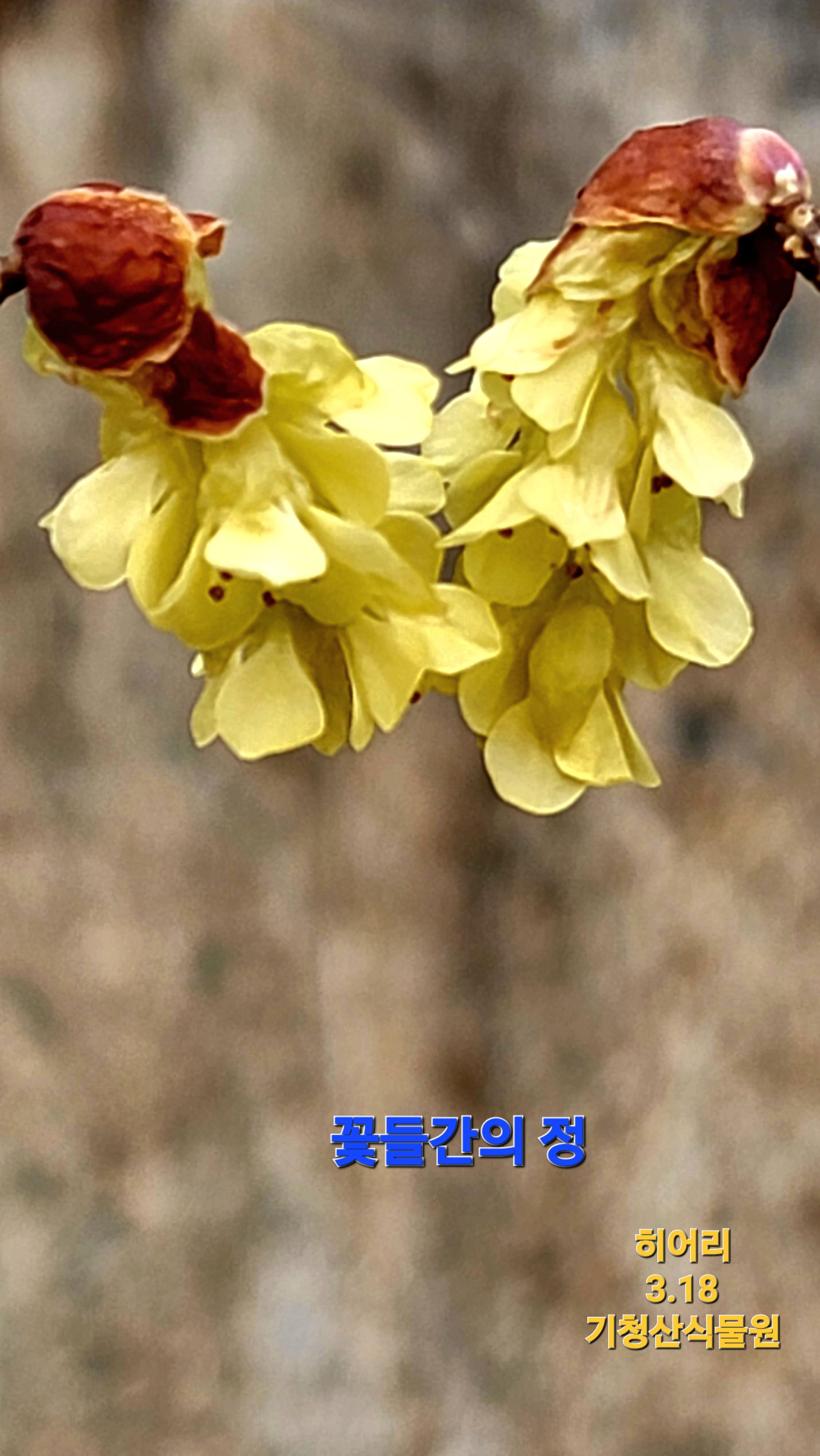 20240317_171601.jpg