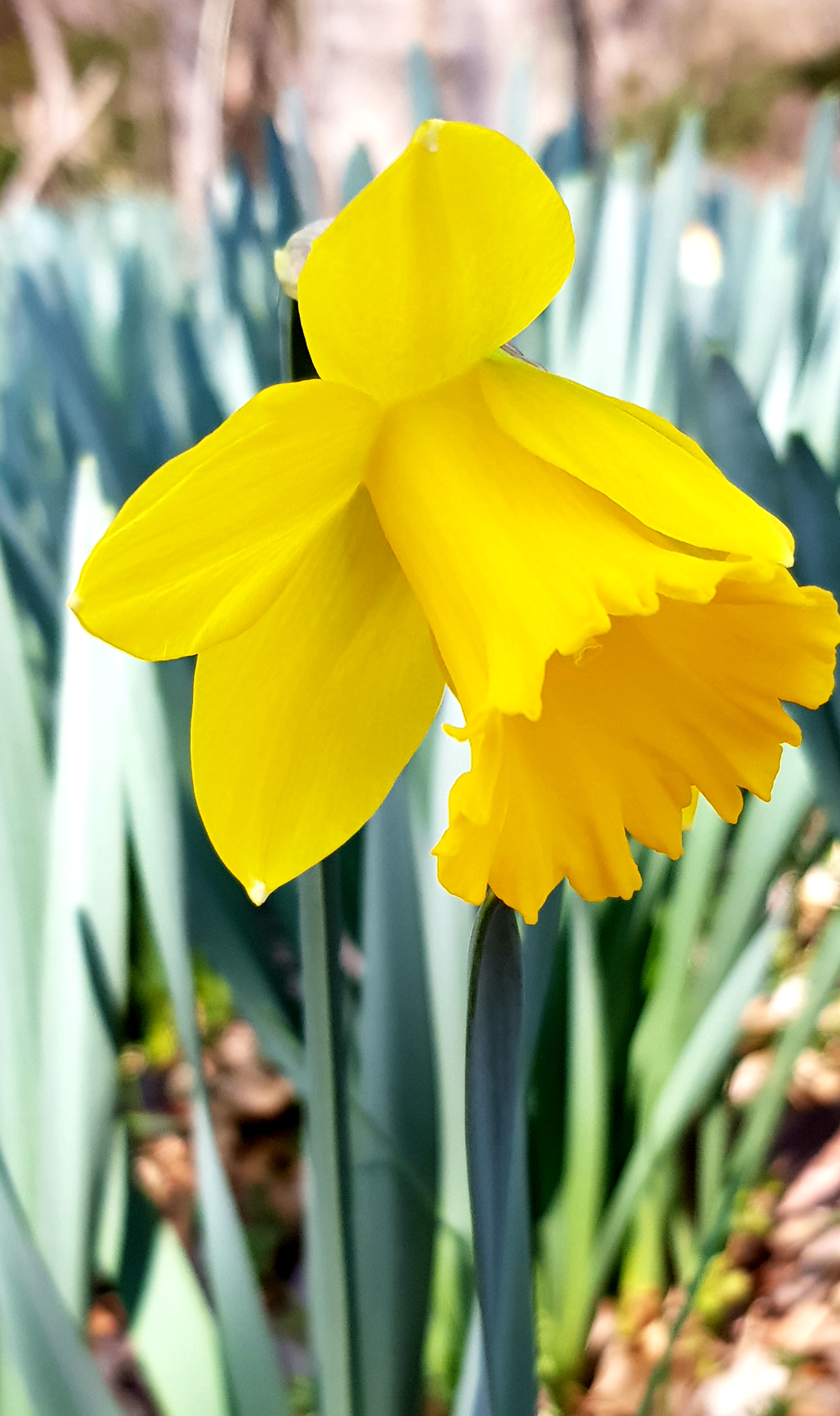 20190316_131012.jpg