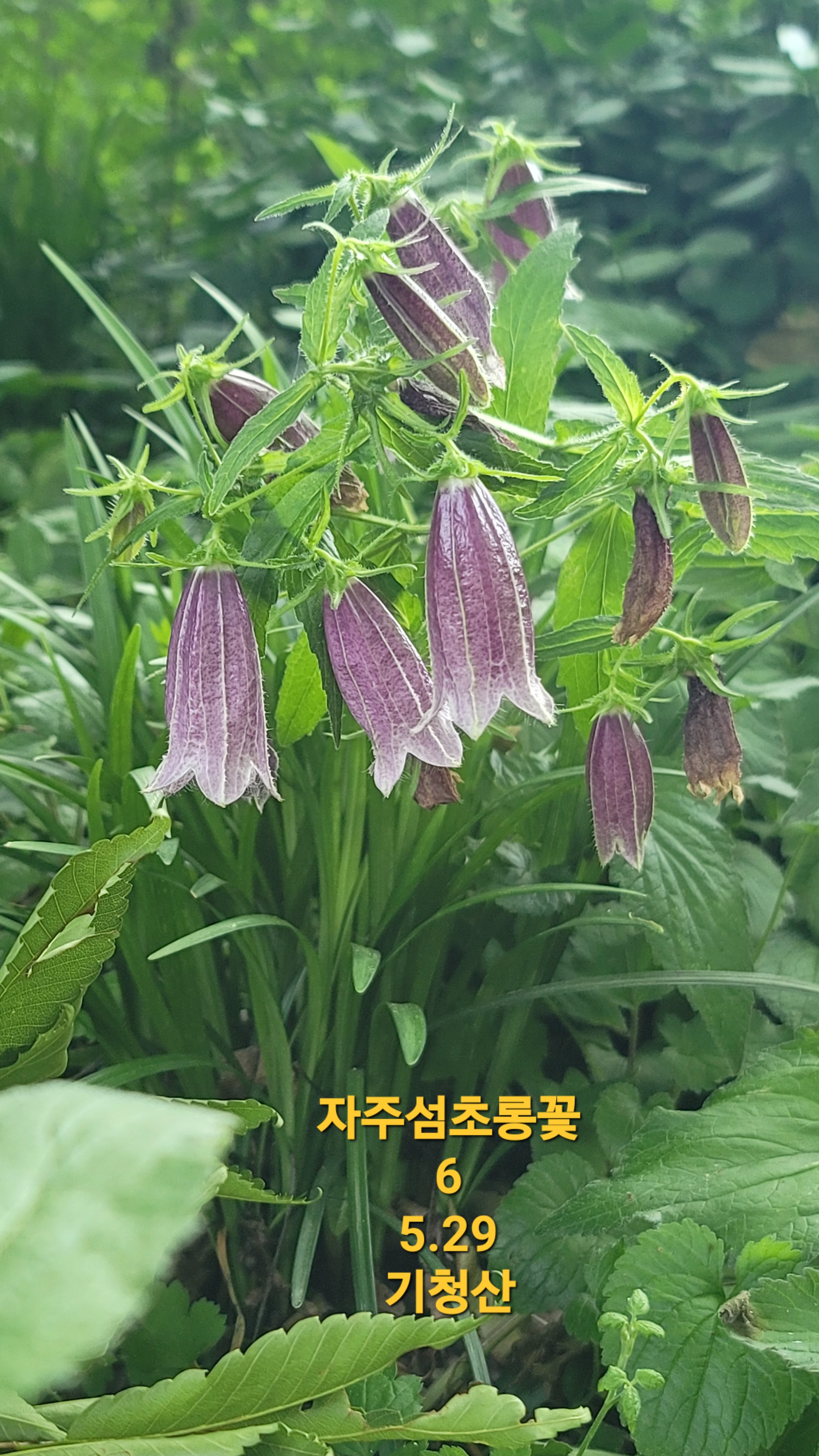 20240529_174834.jpg