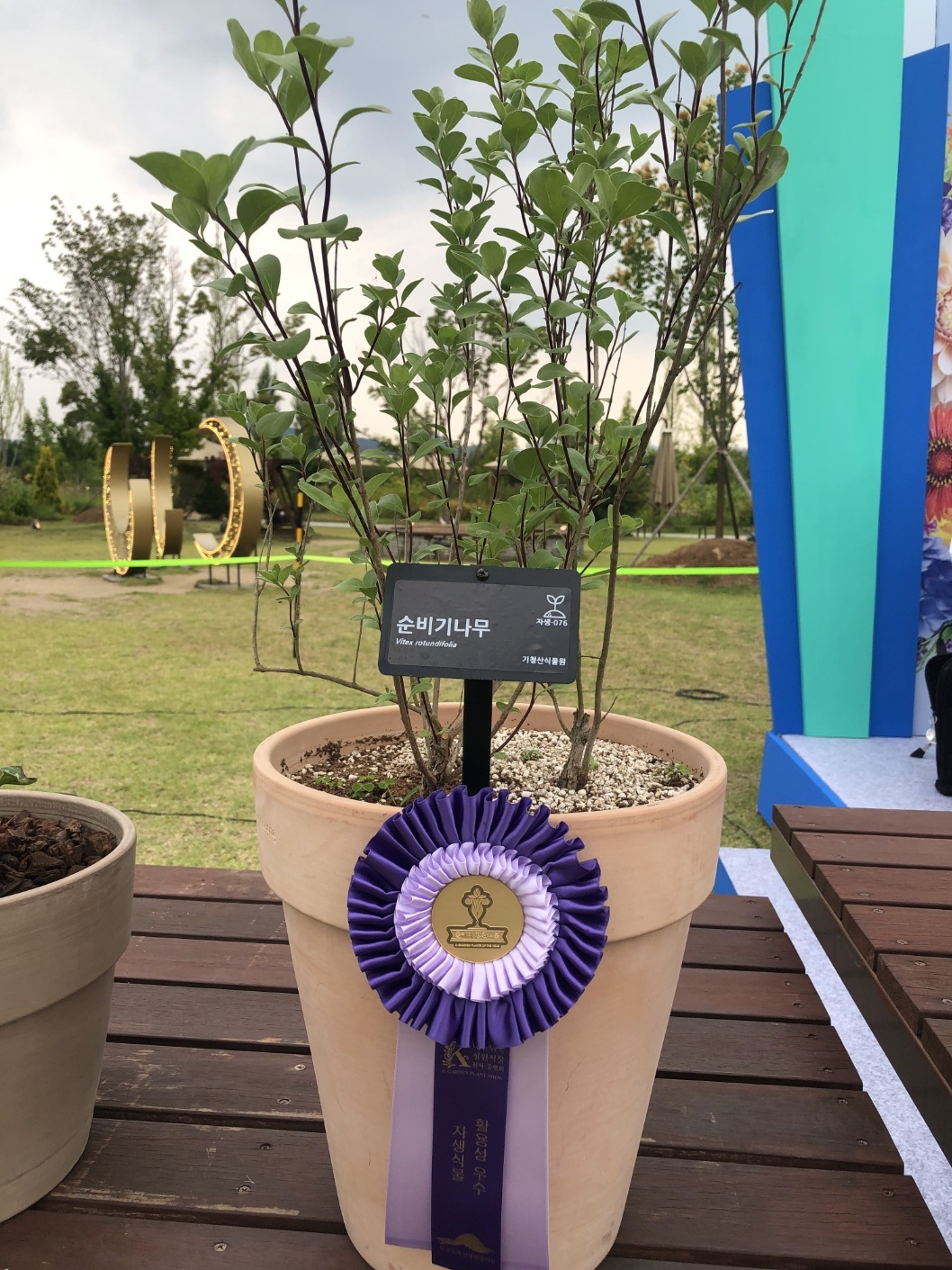 KakaoTalk_20240809_214138309_02.jpg