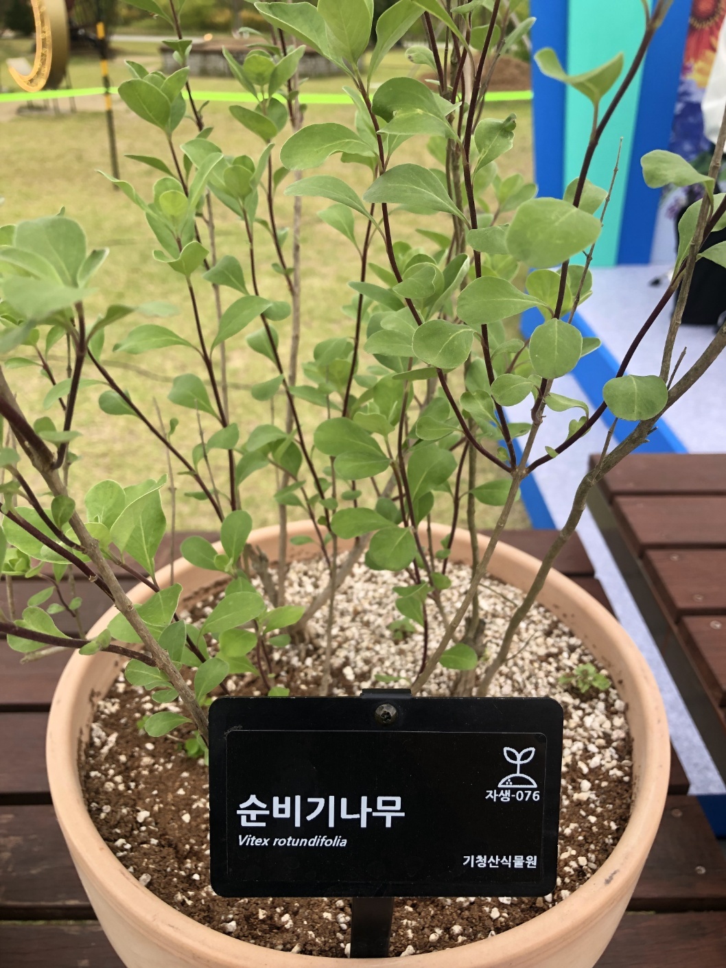 KakaoTalk_20240809_214138309_03.jpg