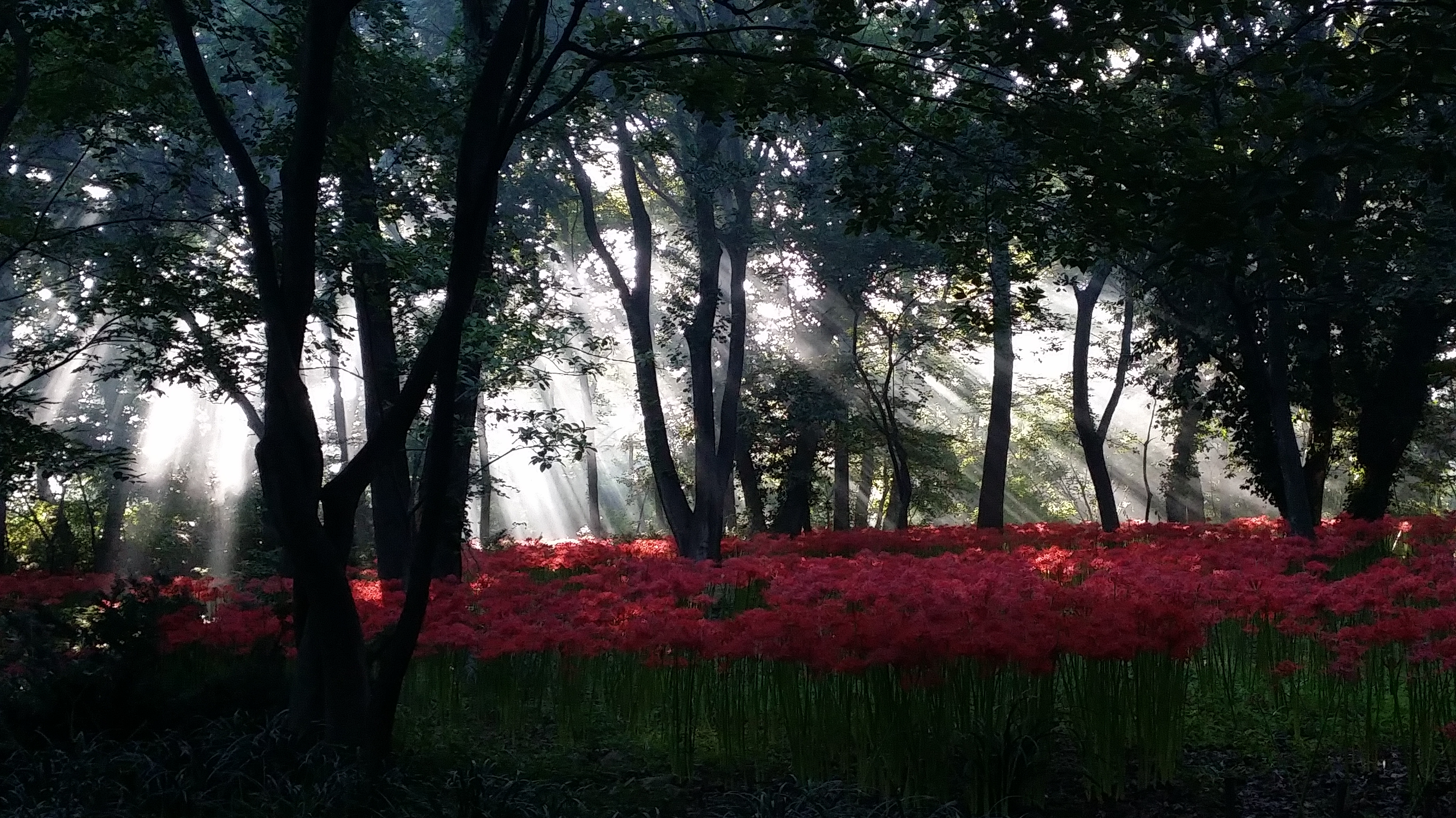 20140919_072713.jpg