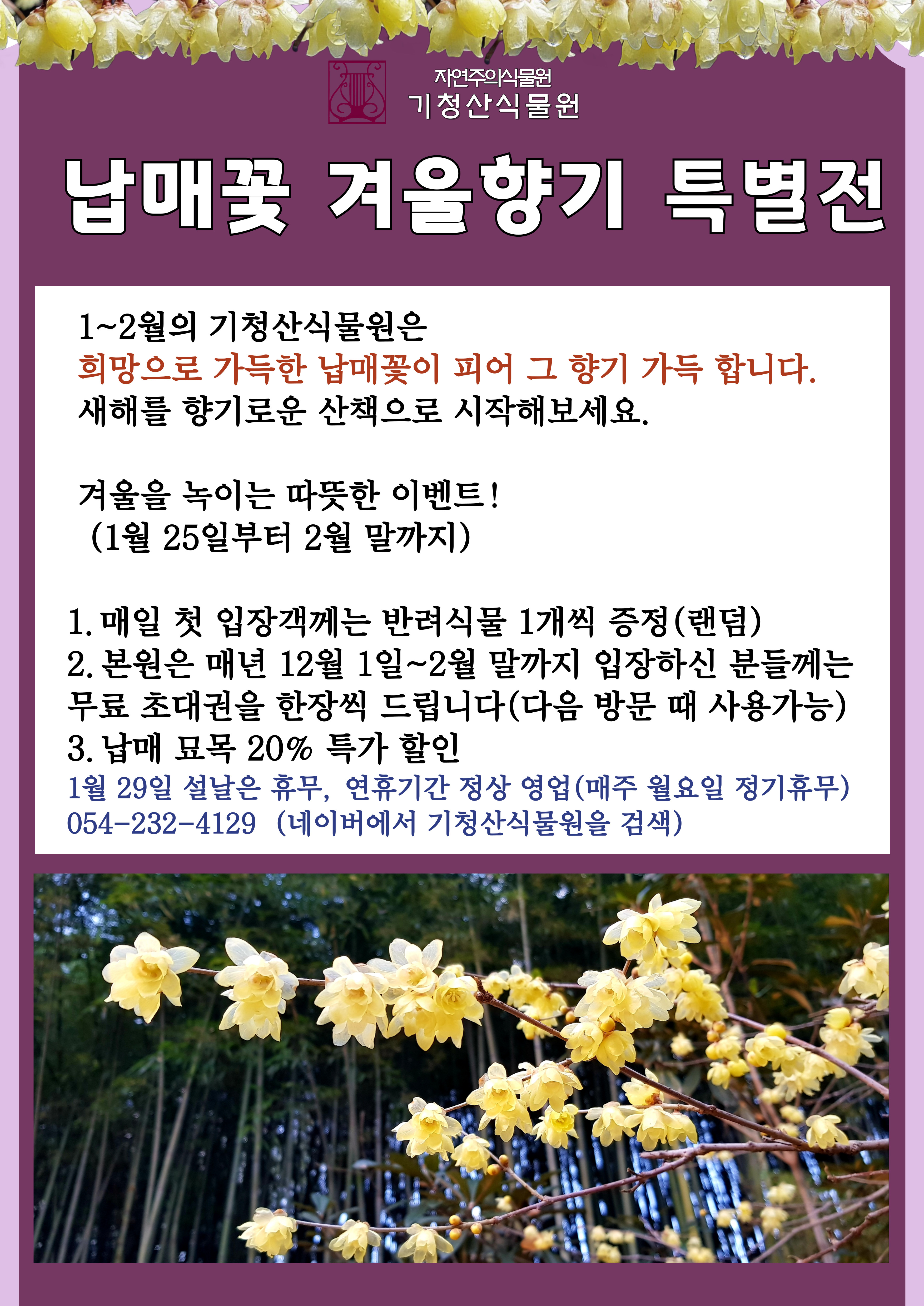 납매꽃--특별전-안내-001 (2).jpg