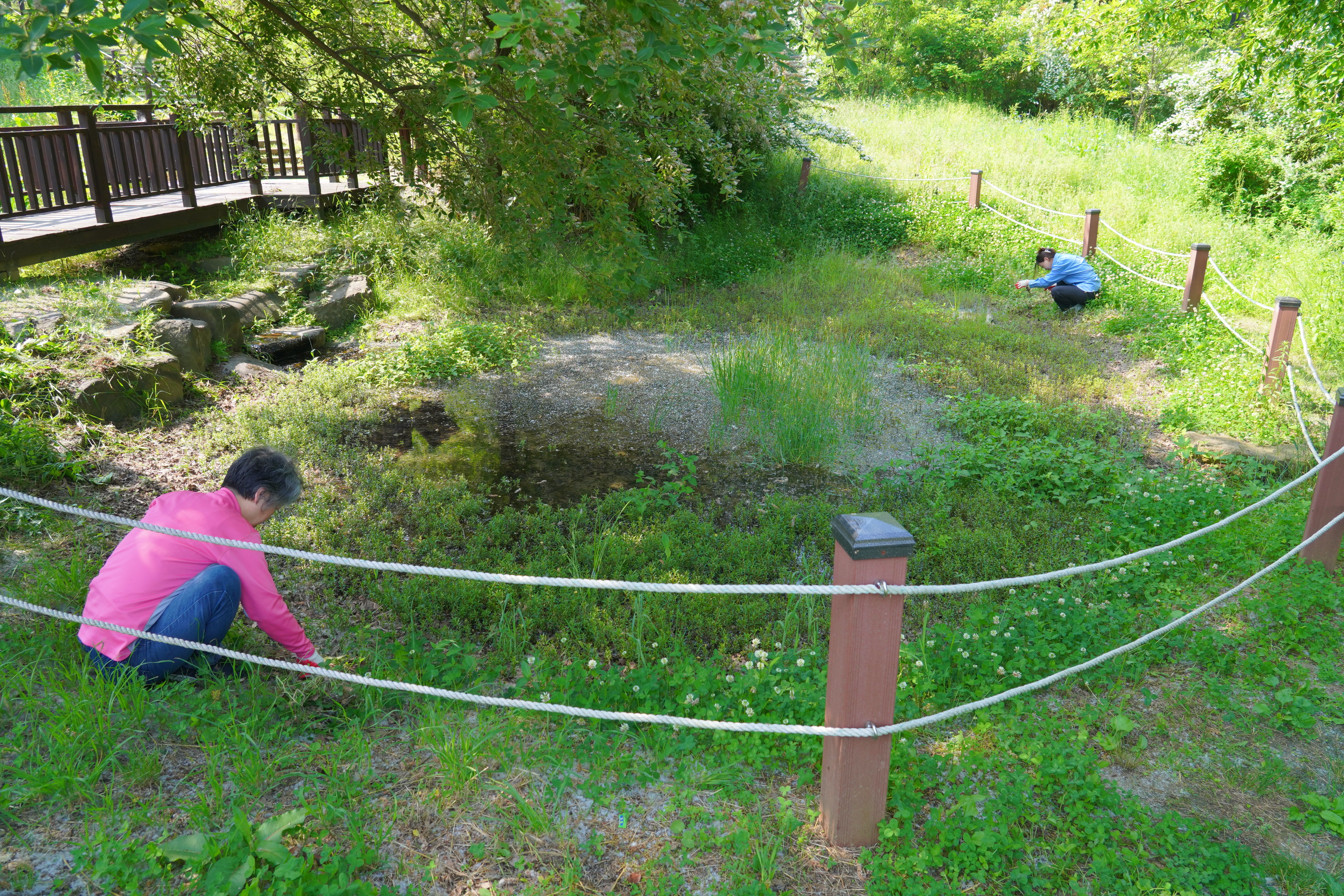 DSC08265.JPG