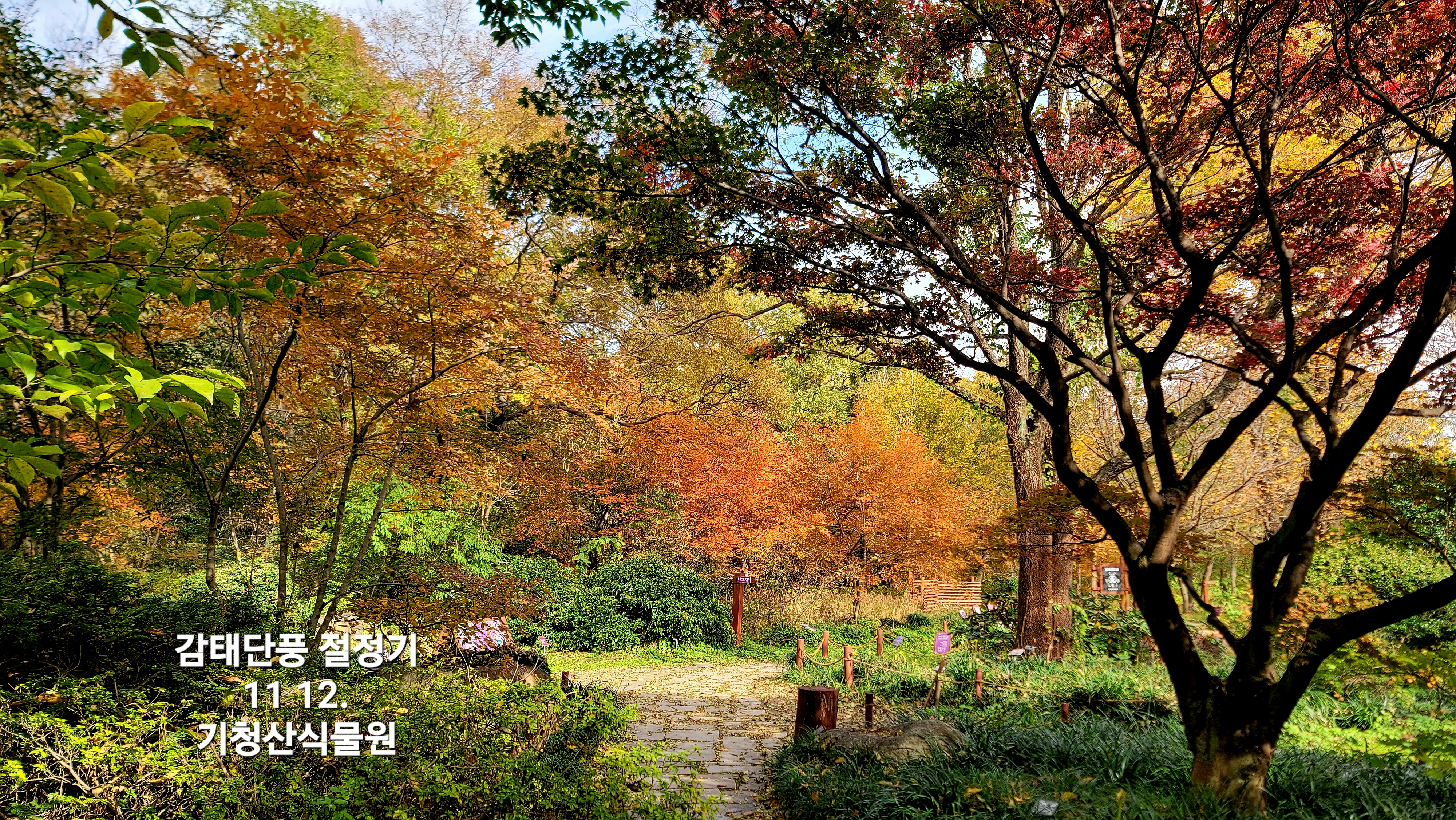 KakaoTalk_20251112_134854415.jpg
