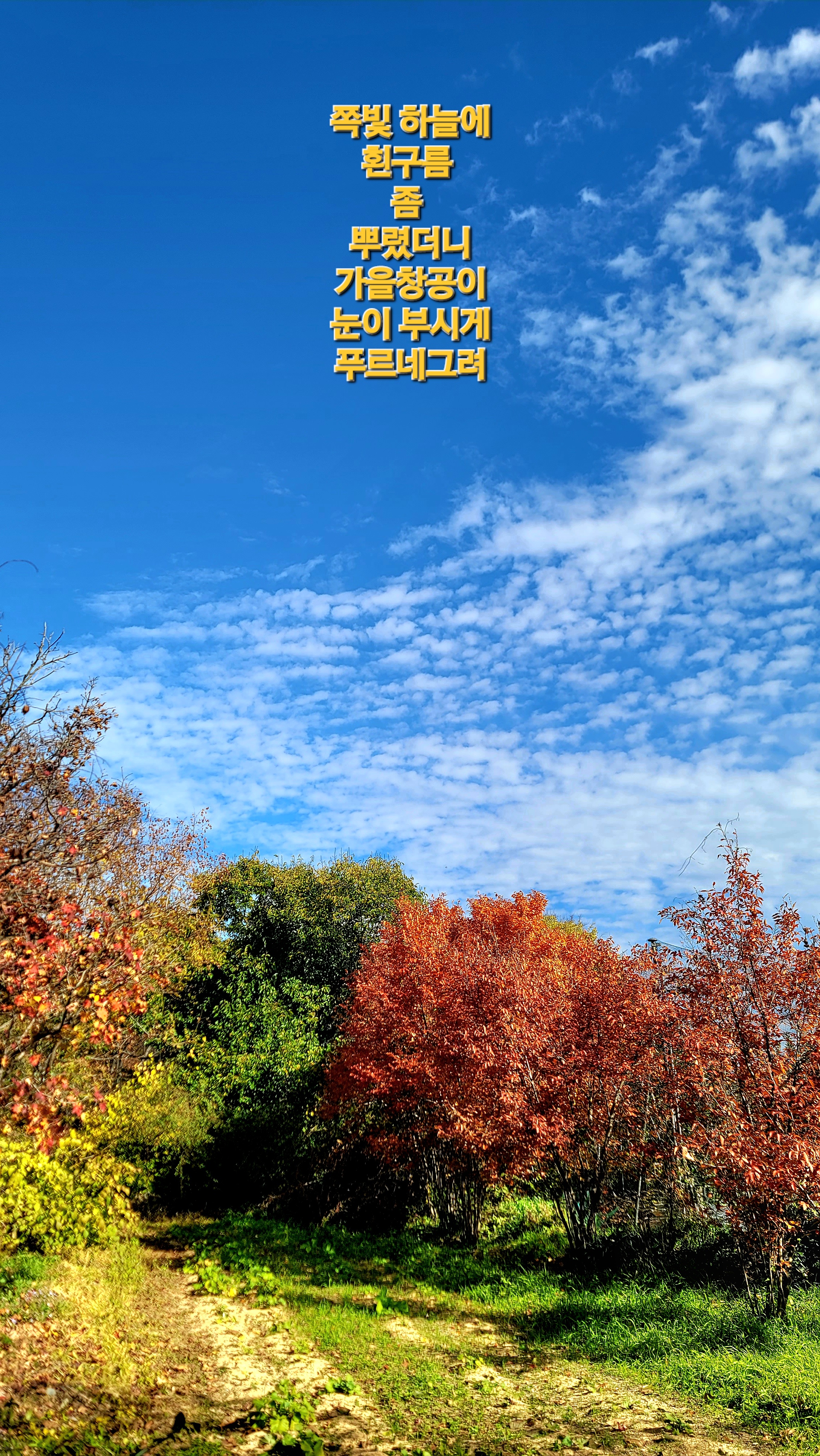 KakaoTalk_20251117_123547697.jpg