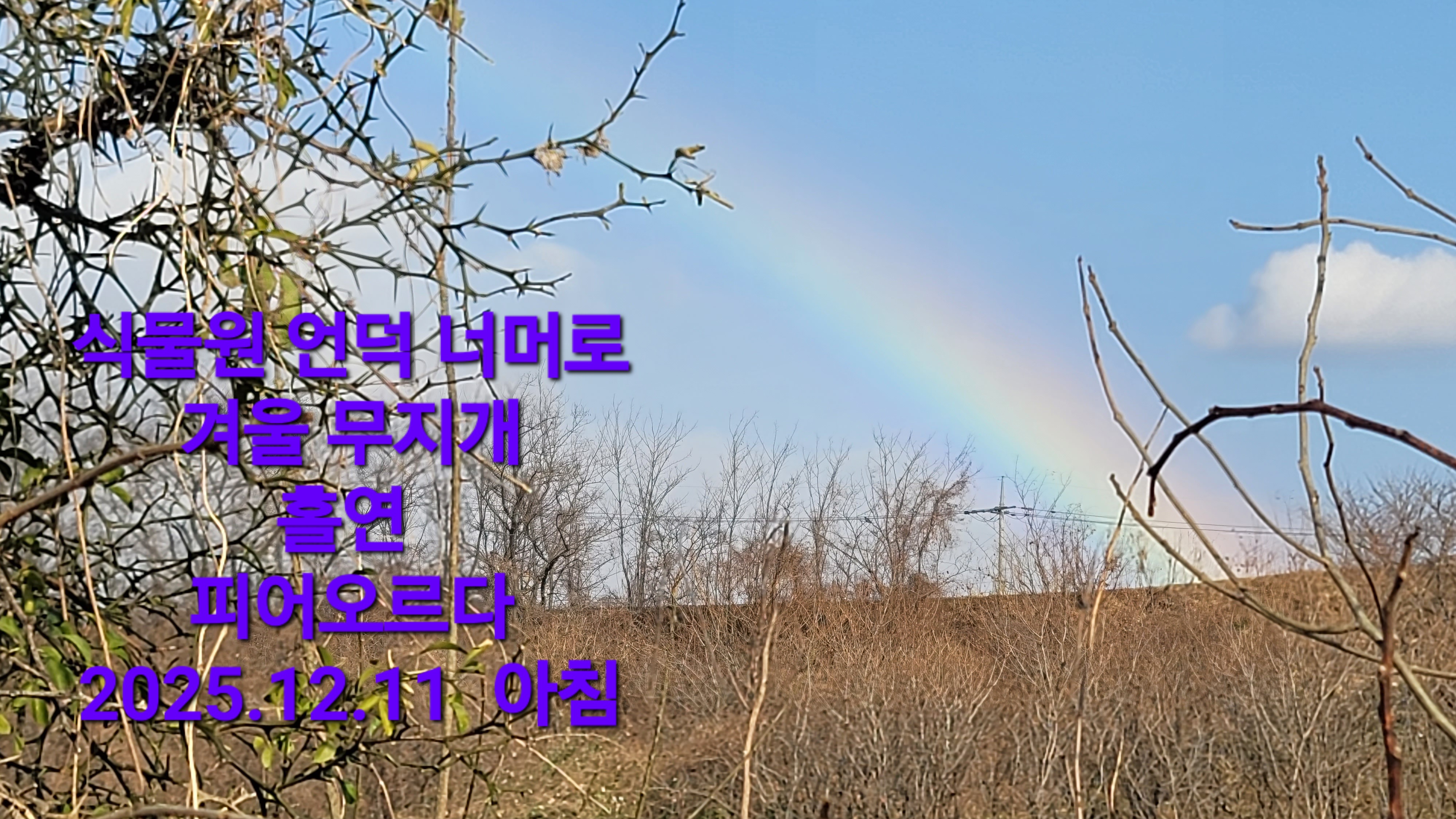 KakaoTalk_20251211_121614378.jpg