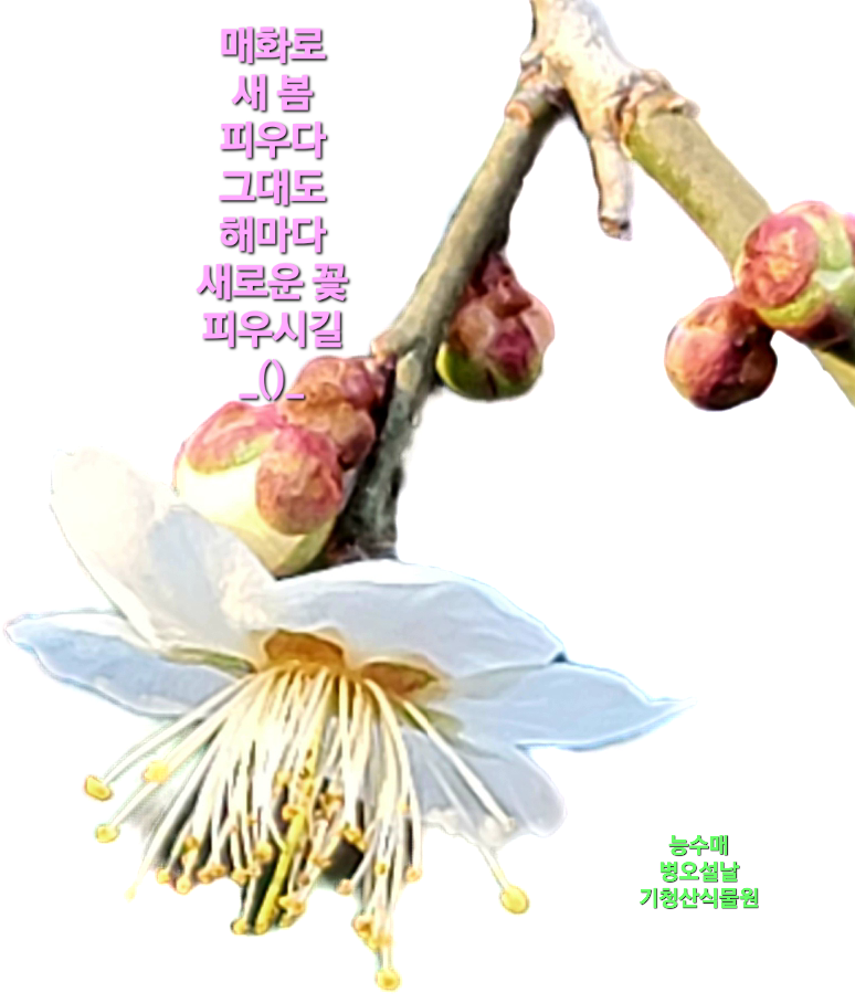 KakaoTalk_20260218_145746277.png