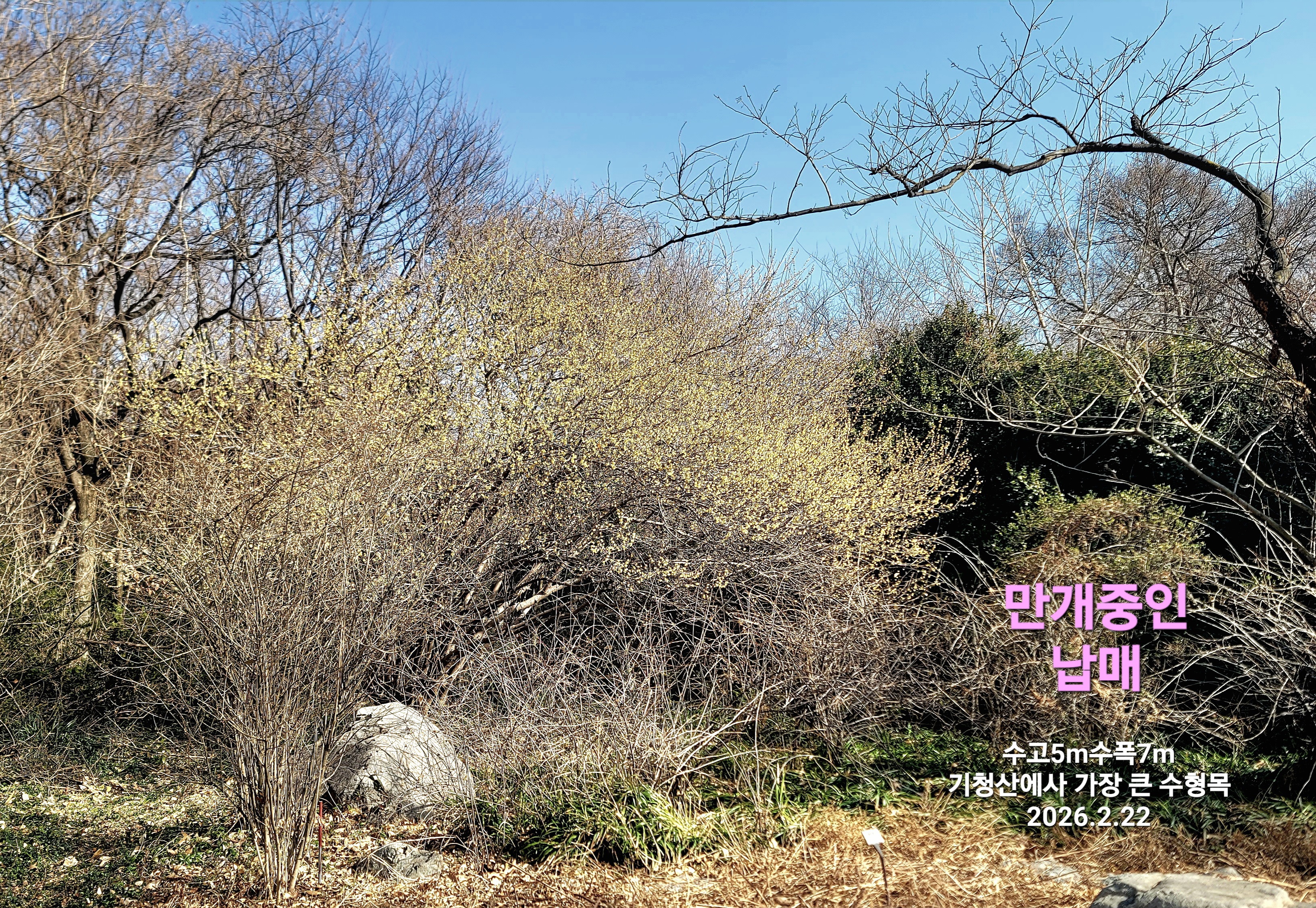 KakaoTalk_20260222_112309298.jpg