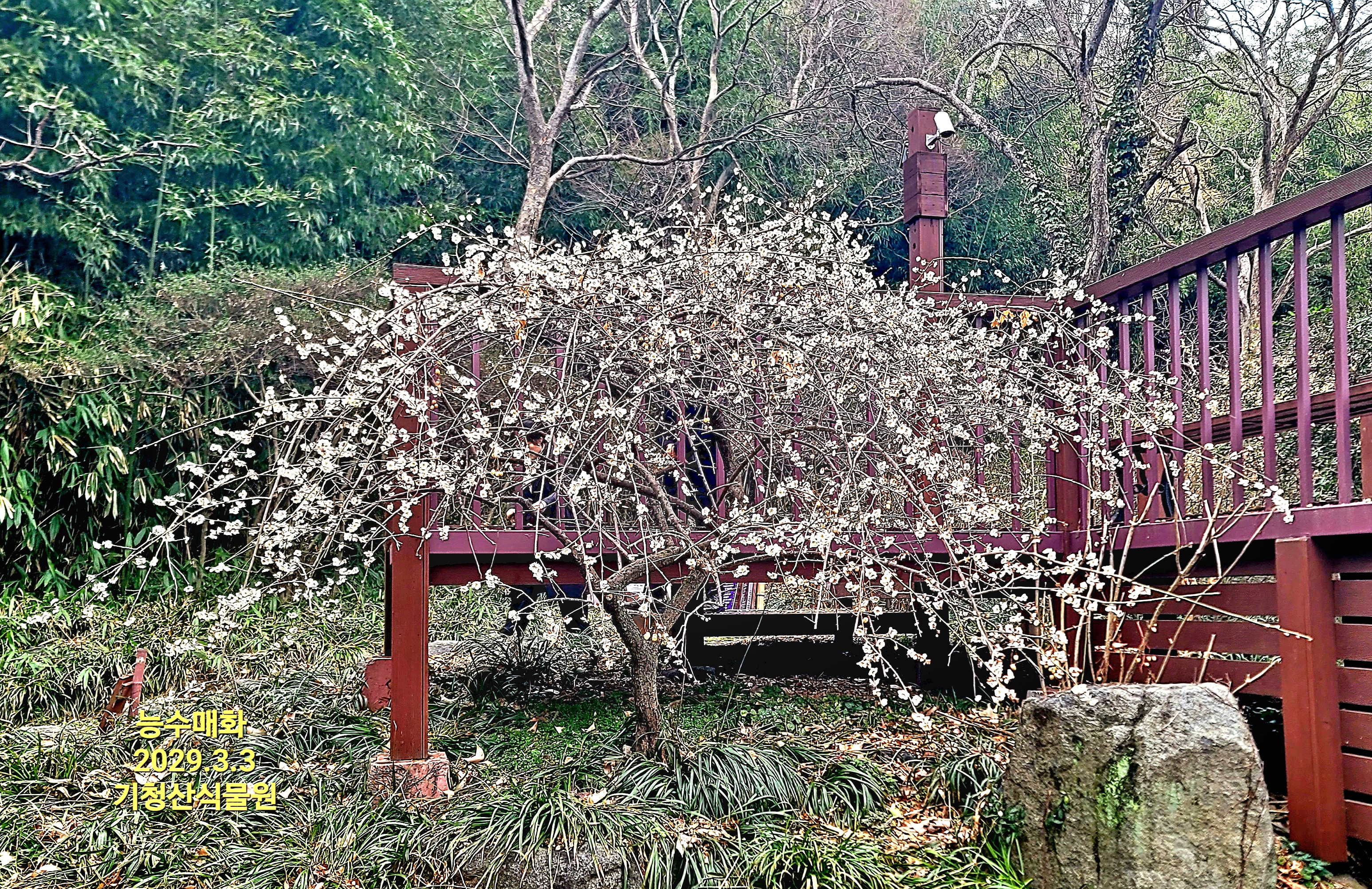 KakaoTalk_20260315_152147364_01.jpg
