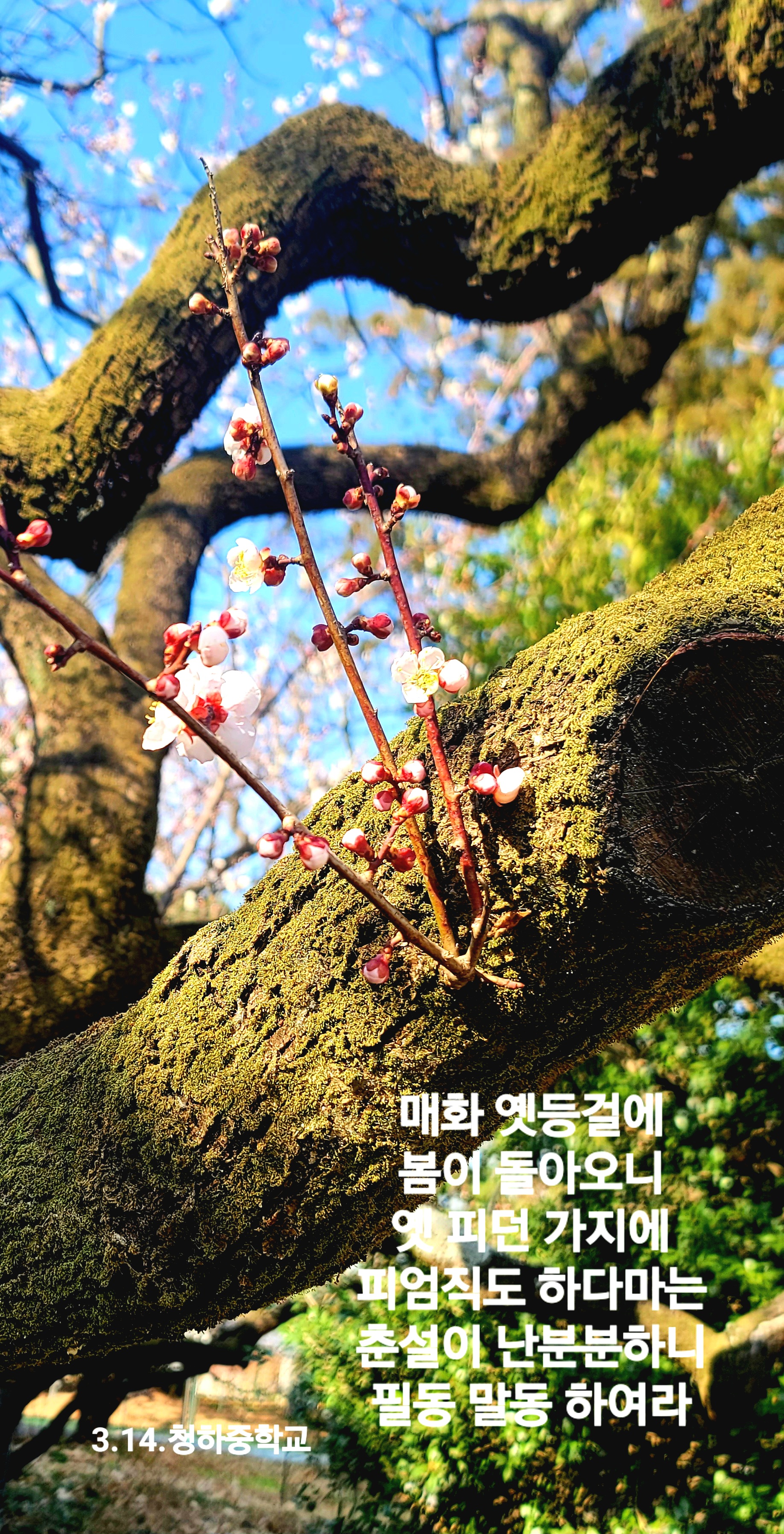 KakaoTalk_20260315_152147364_08.jpg