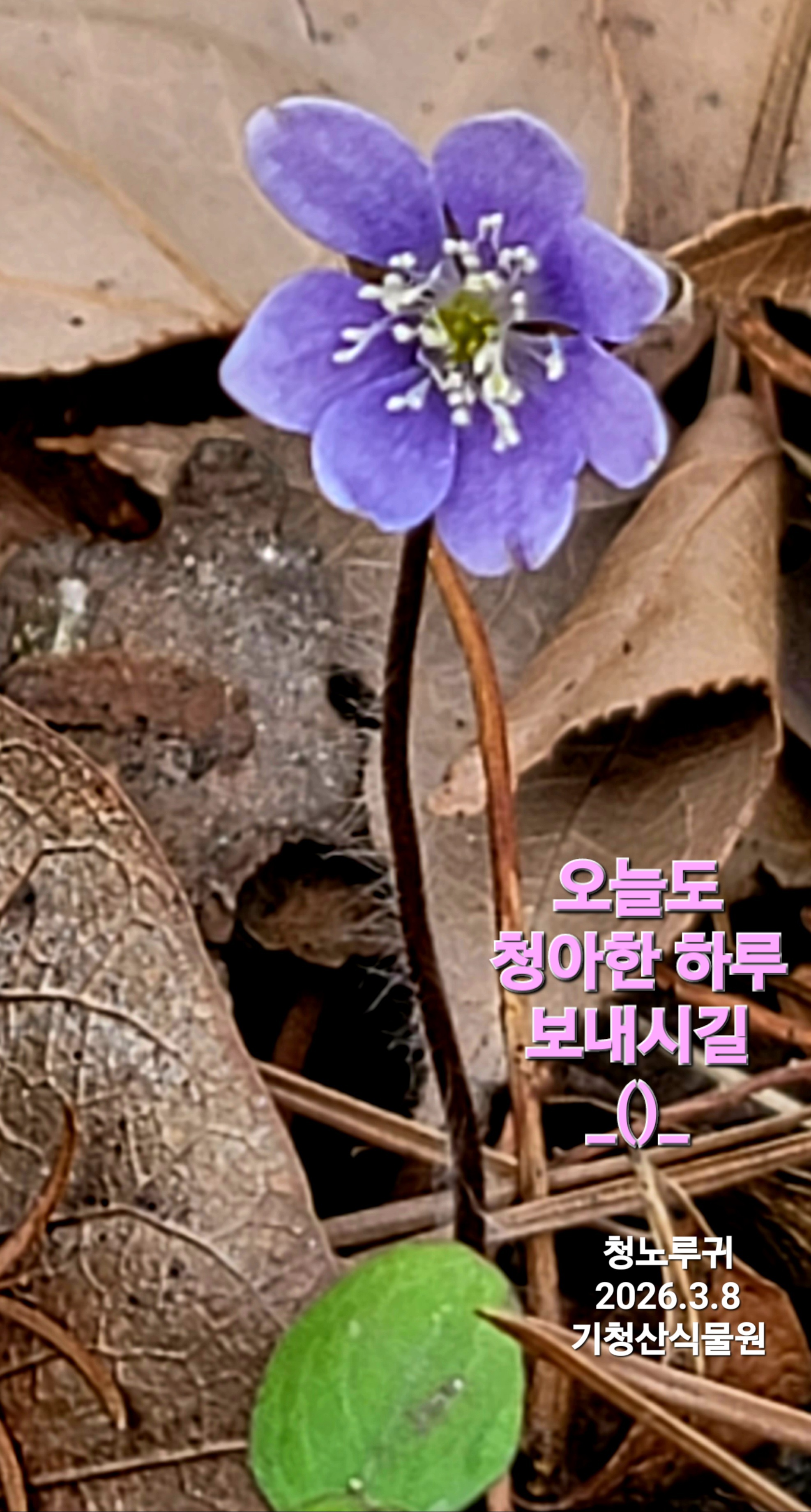 KakaoTalk_20260315_152232468_02.jpg
