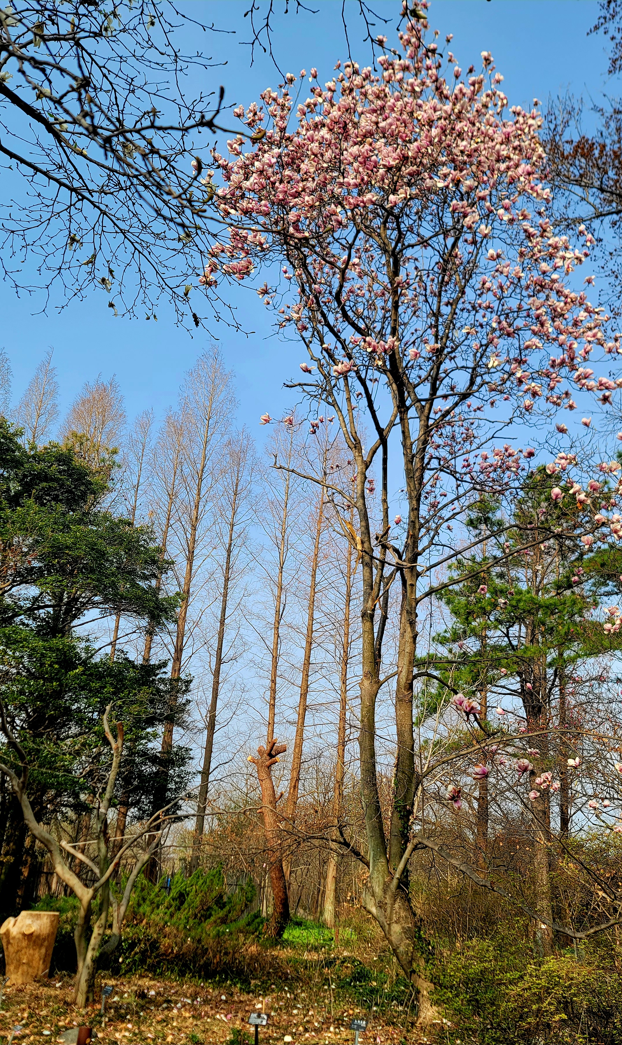 KakaoTalk_20260329_132651472_02.jpg