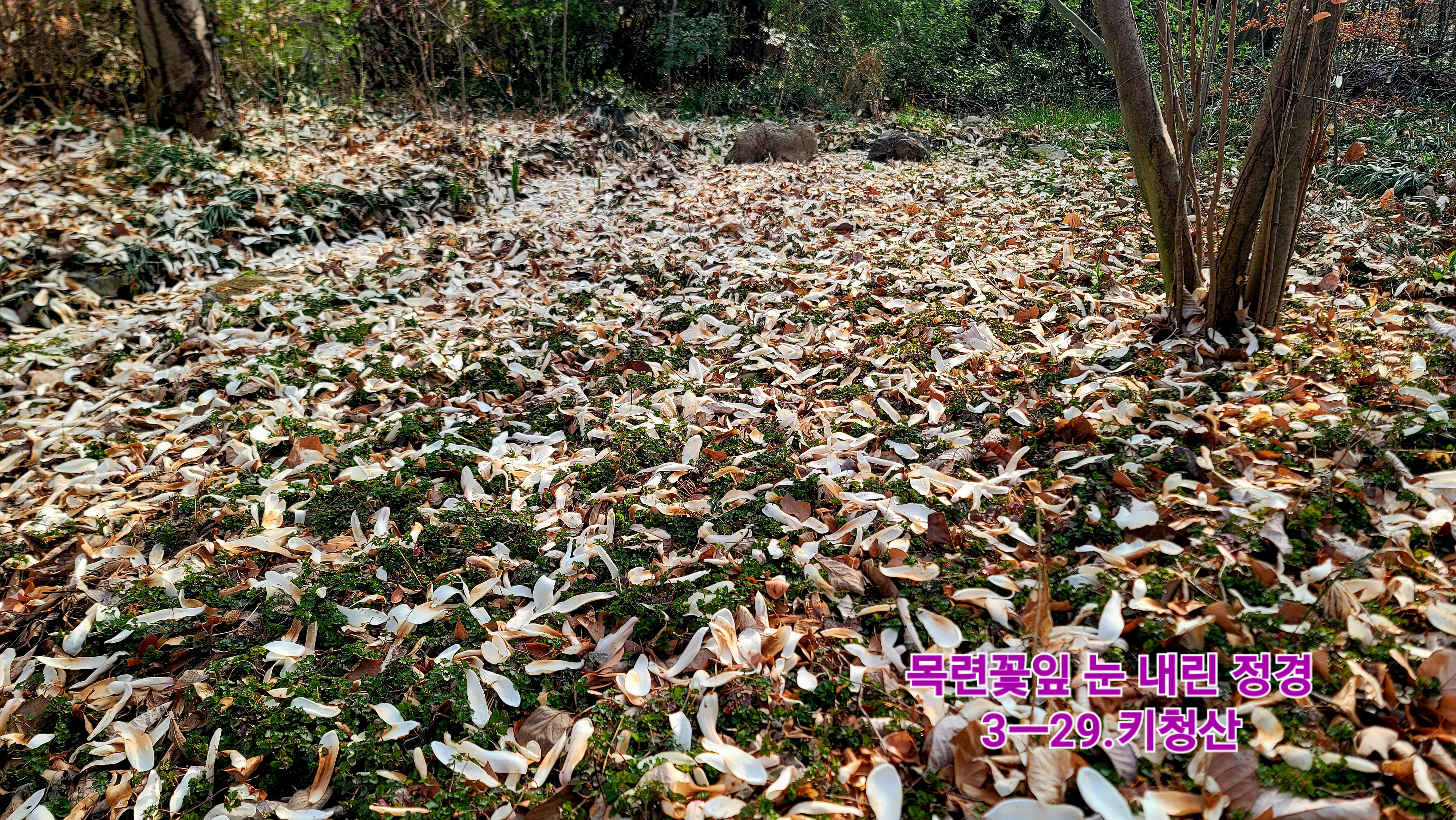 KakaoTalk_20260329_132651472_03.jpg
