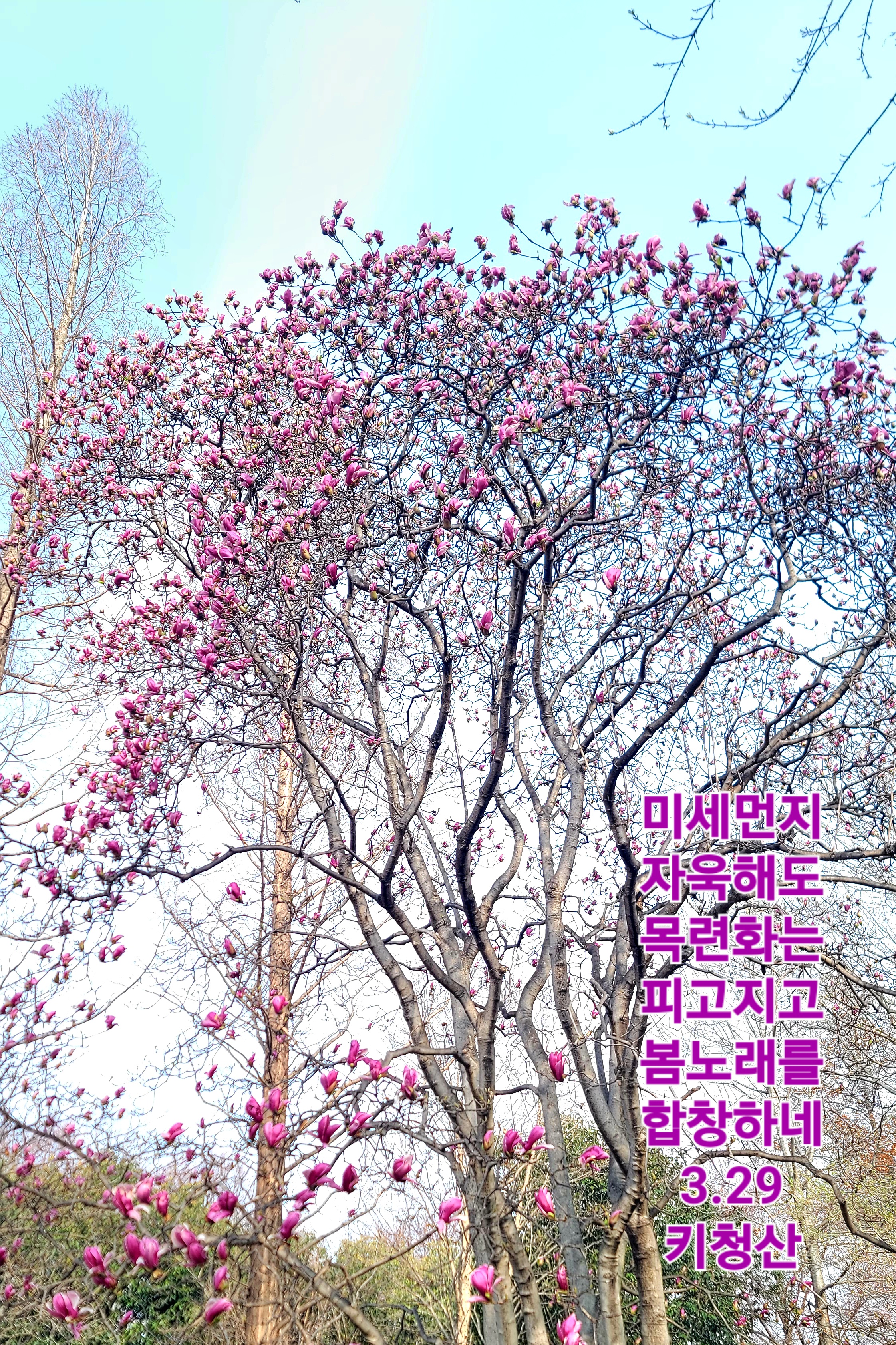 KakaoTalk_20260329_132651472_07.jpg