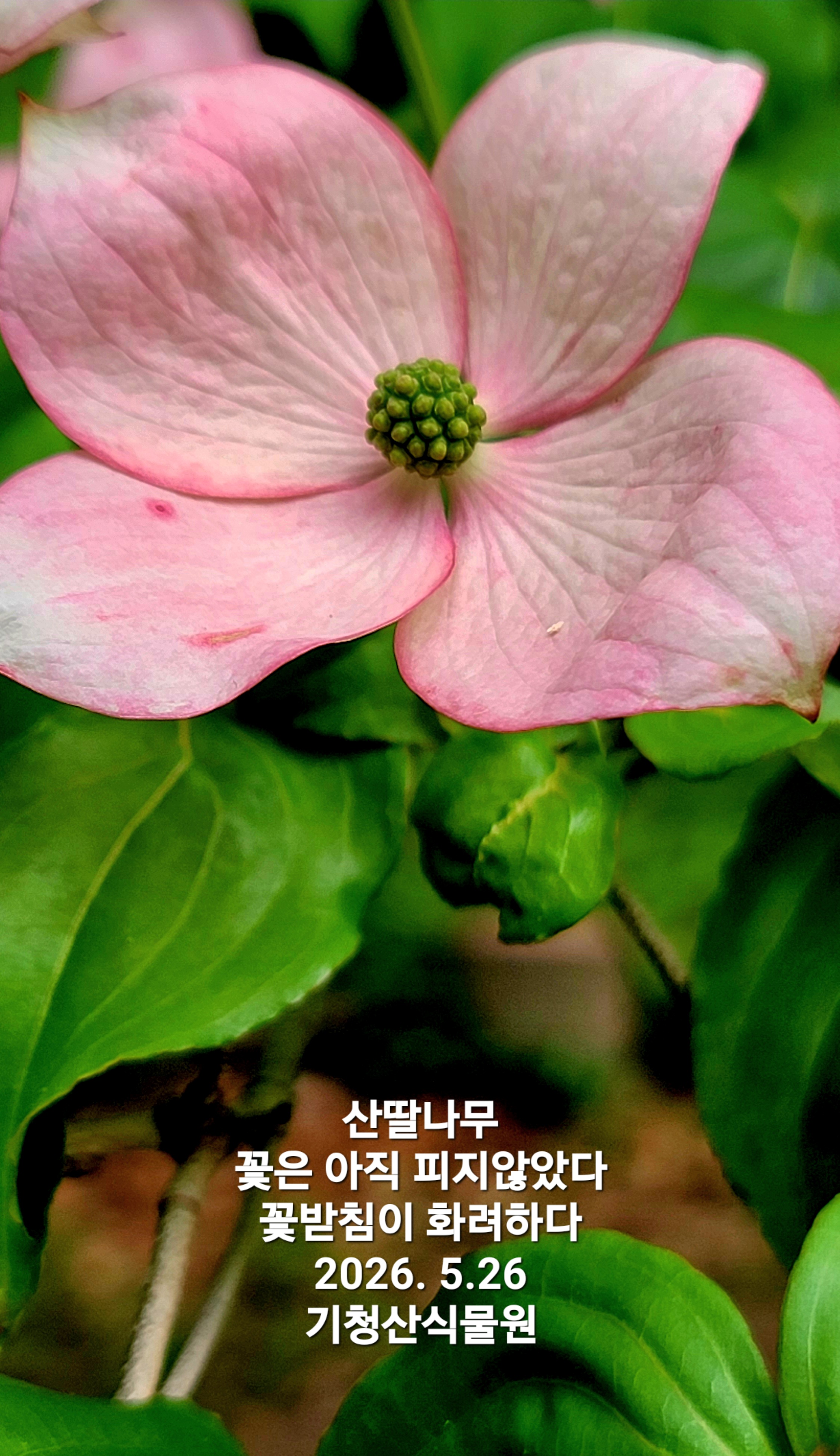 KakaoTalk_20260530_121417106_03.jpg
