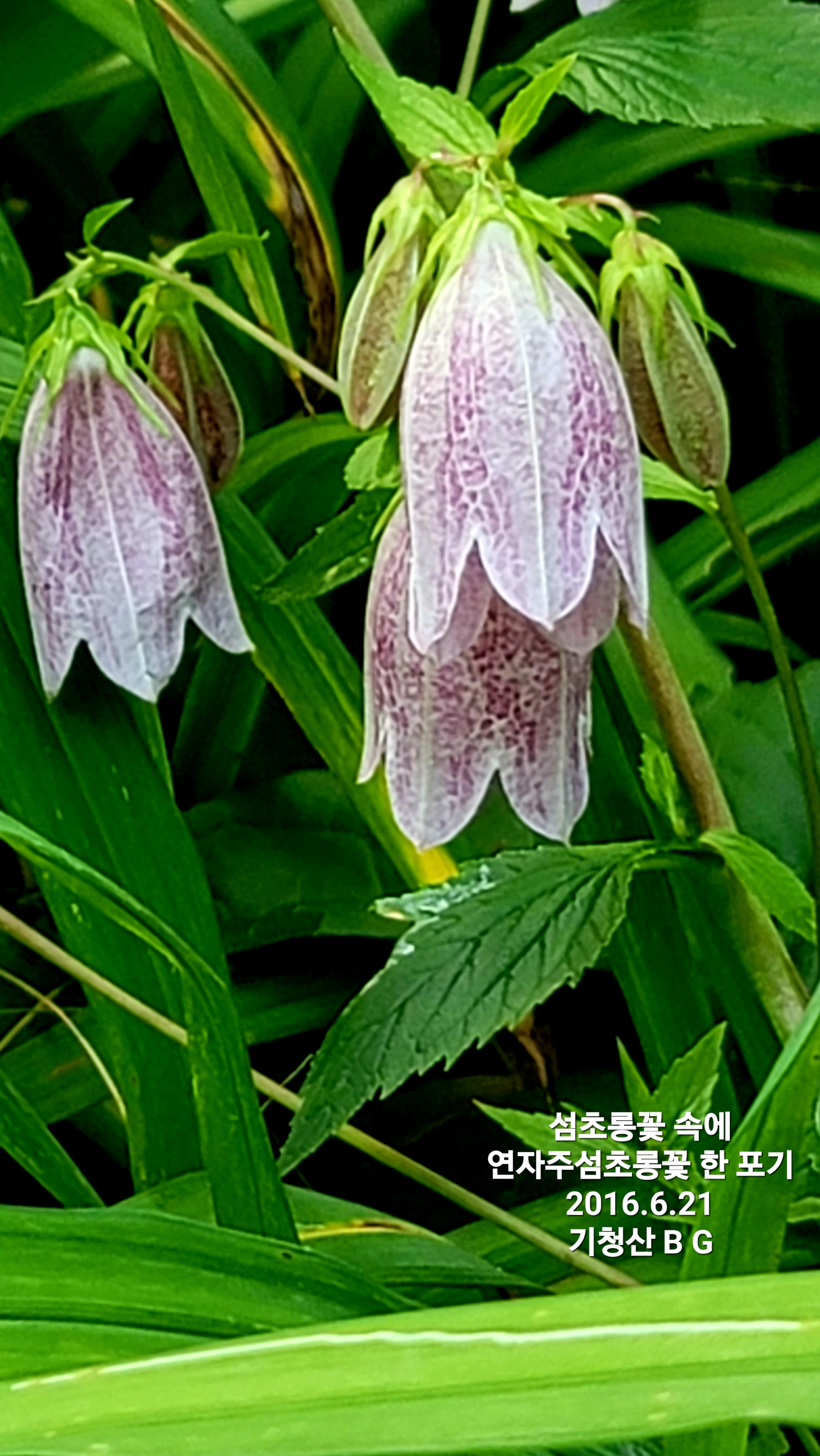 KakaoTalk_20260711_095009238_03.jpg
