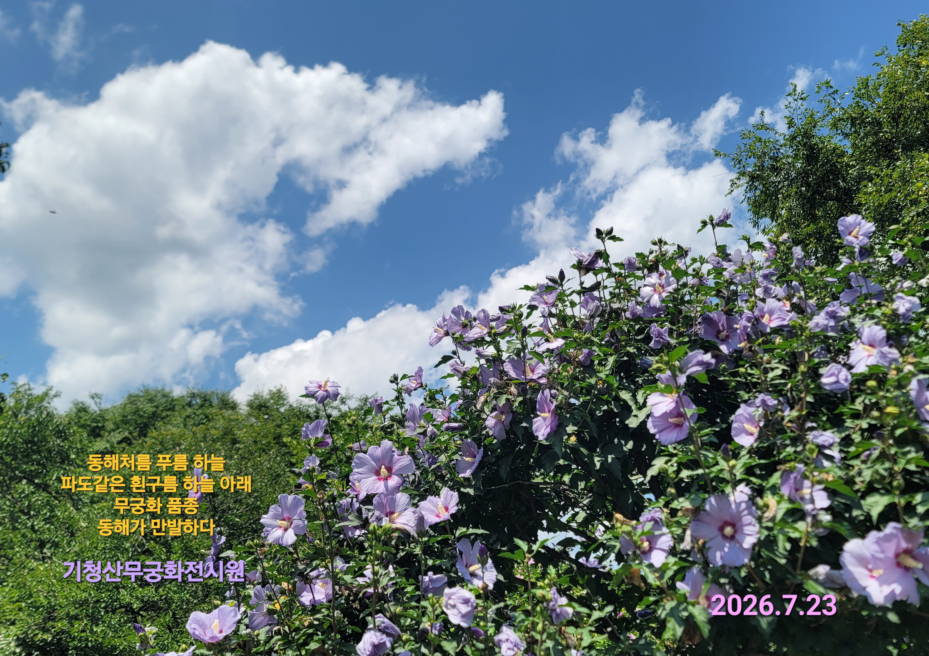 KakaoTalk_20260805_154703143.jpg