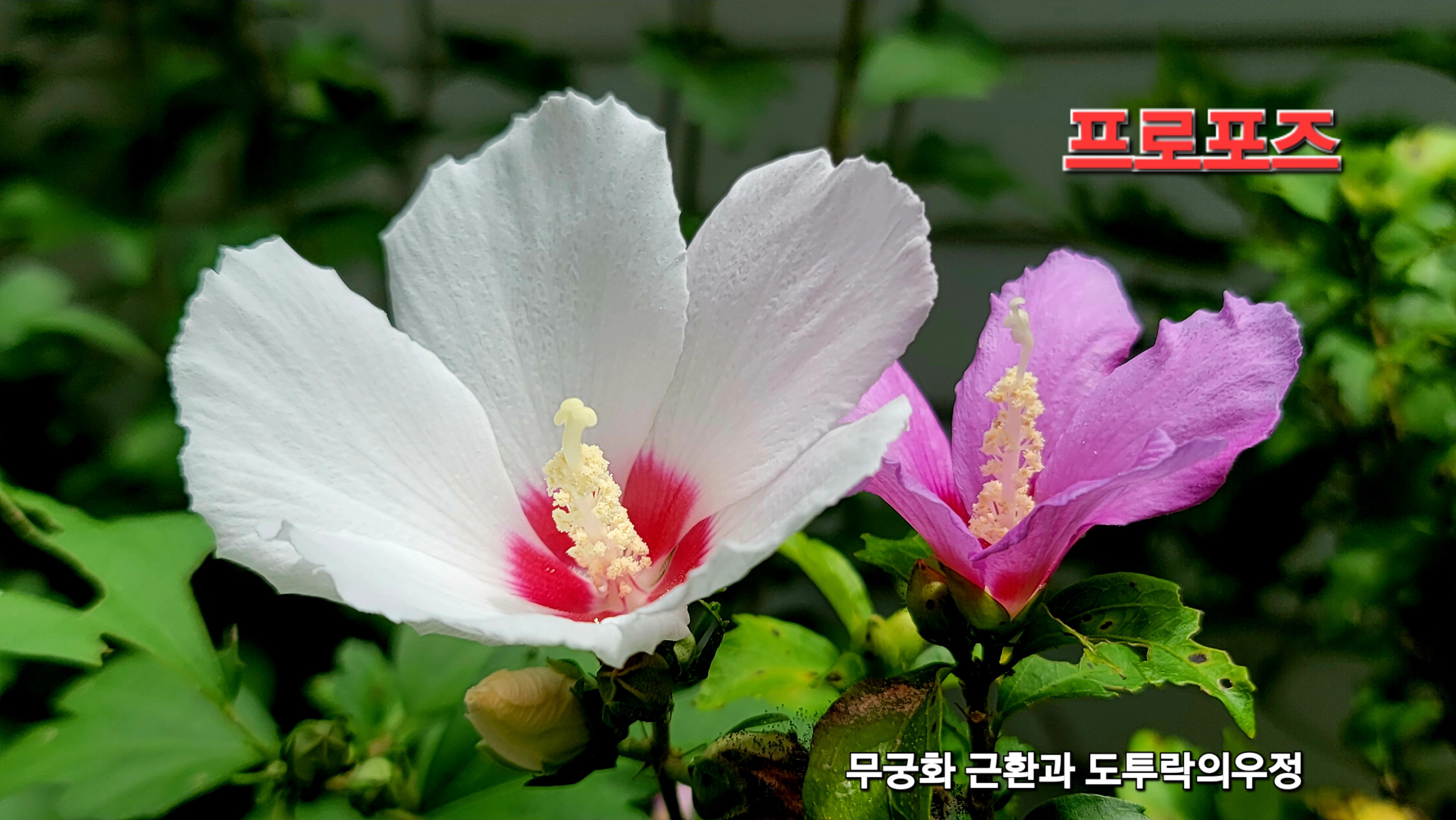 KakaoTalk_20260805_154703143_02.jpg