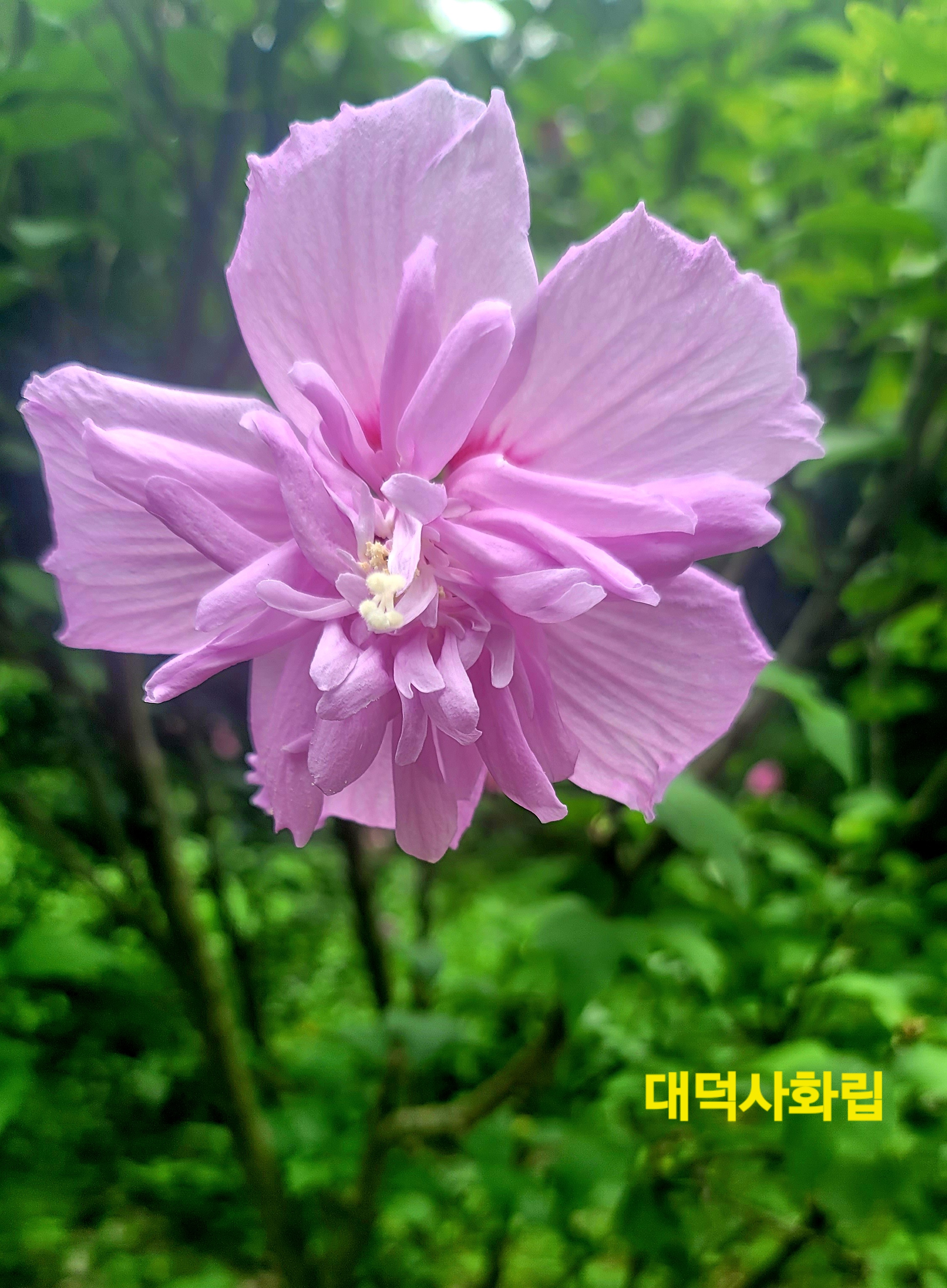 KakaoTalk_20260805_154703143_08.jpg