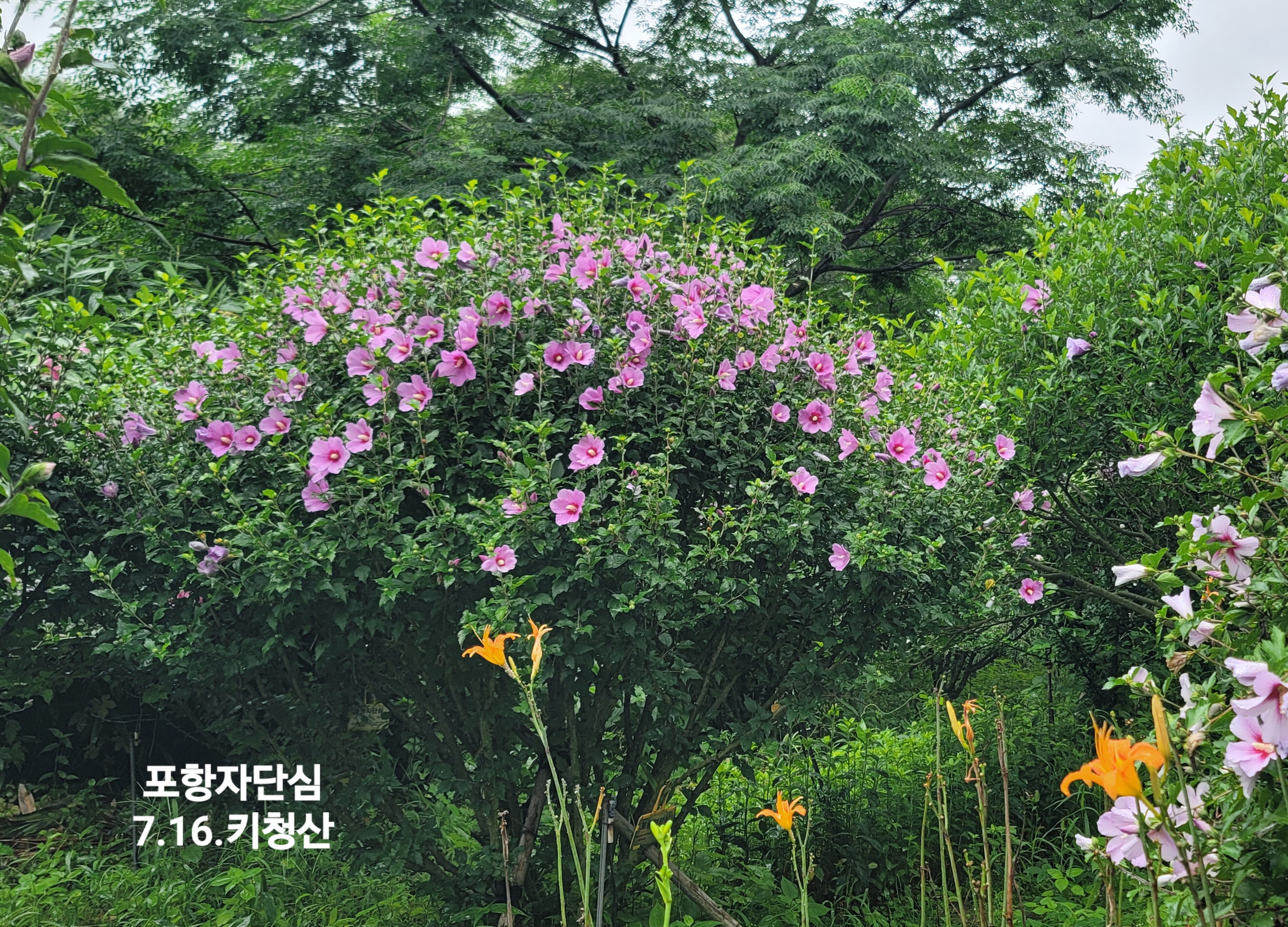 KakaoTalk_20260805_154703143_15.jpg