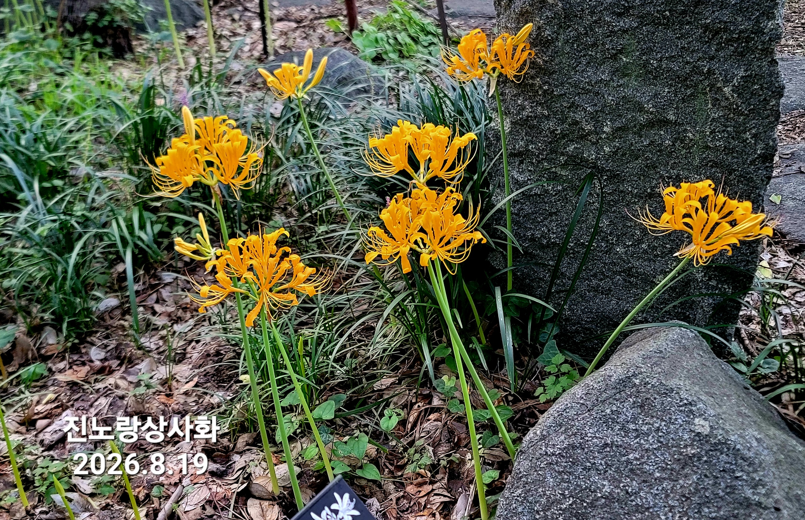 KakaoTalk_20260820_070022273.jpg