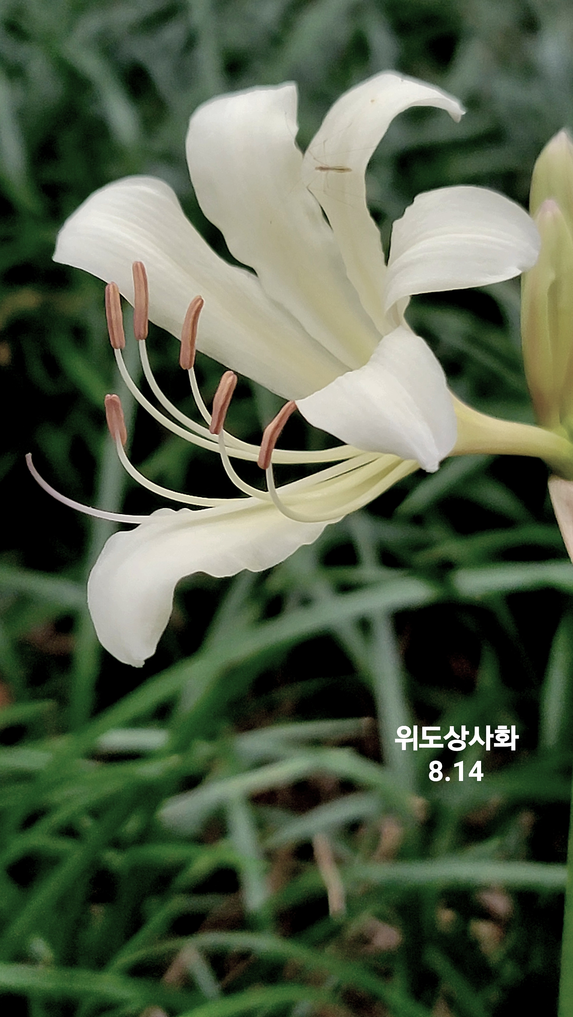 KakaoTalk_20260820_071724320.jpg