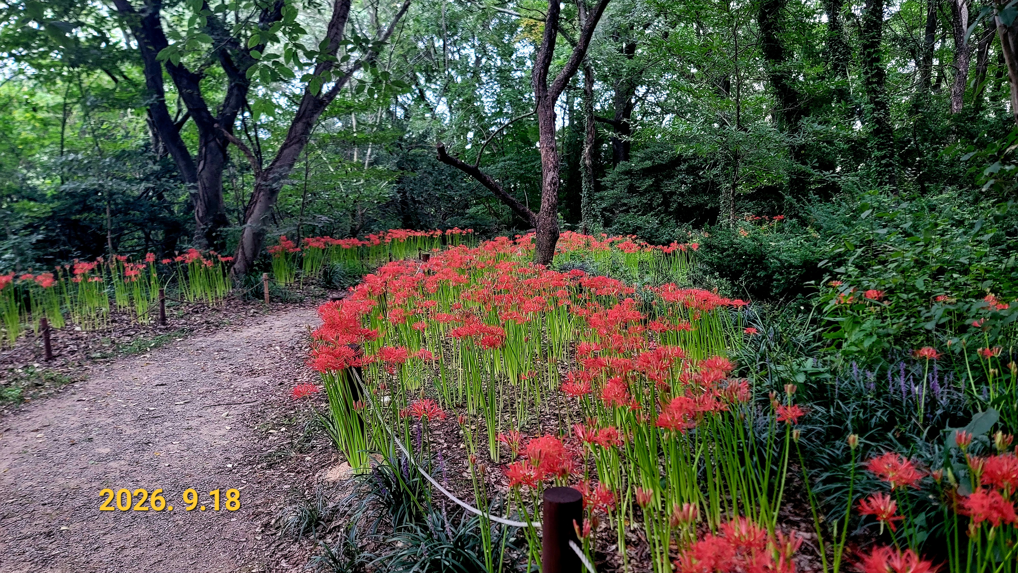 KakaoTalk_20260918_082733339.jpg