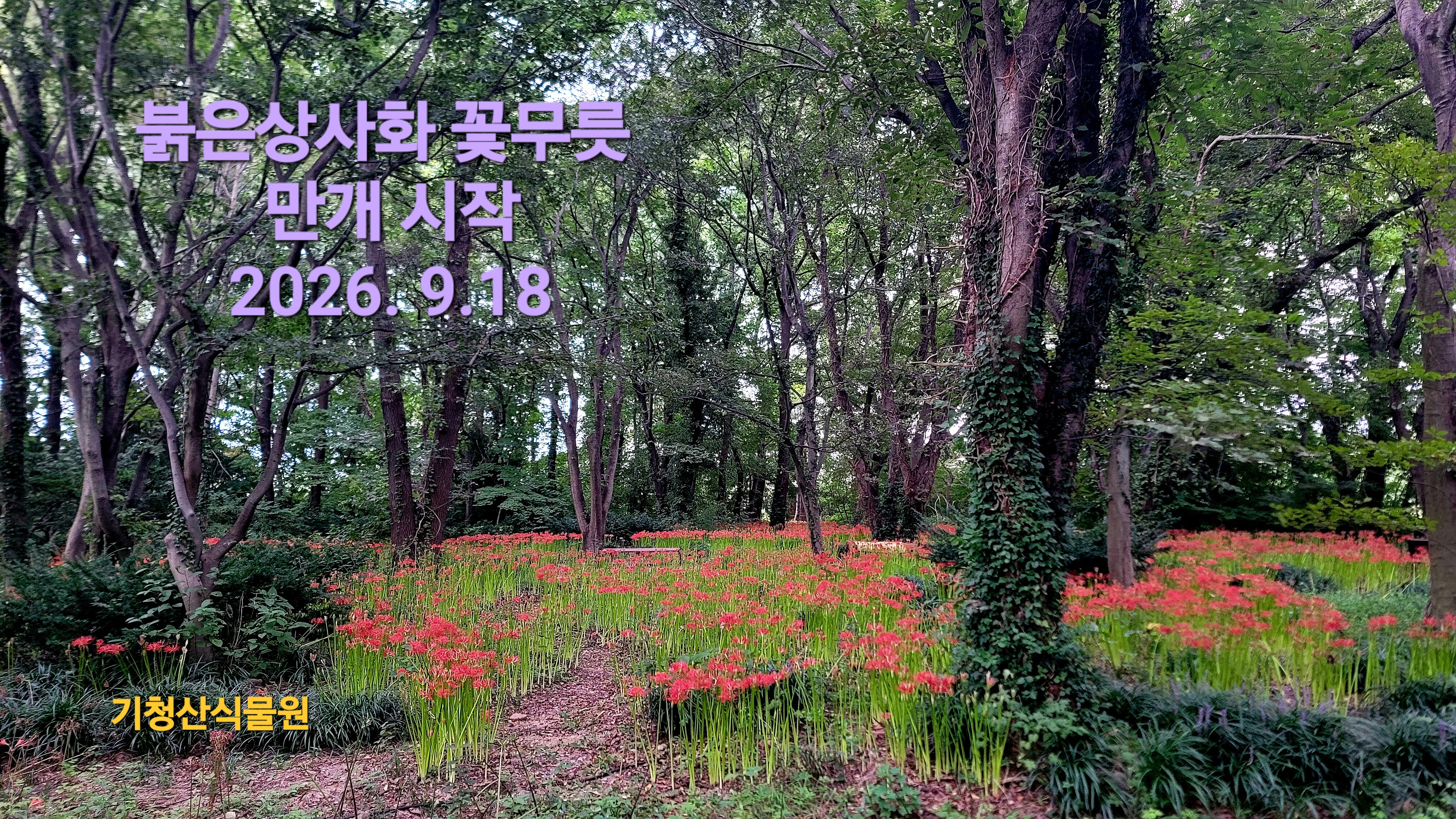 KakaoTalk_20260918_082733339_02.jpg