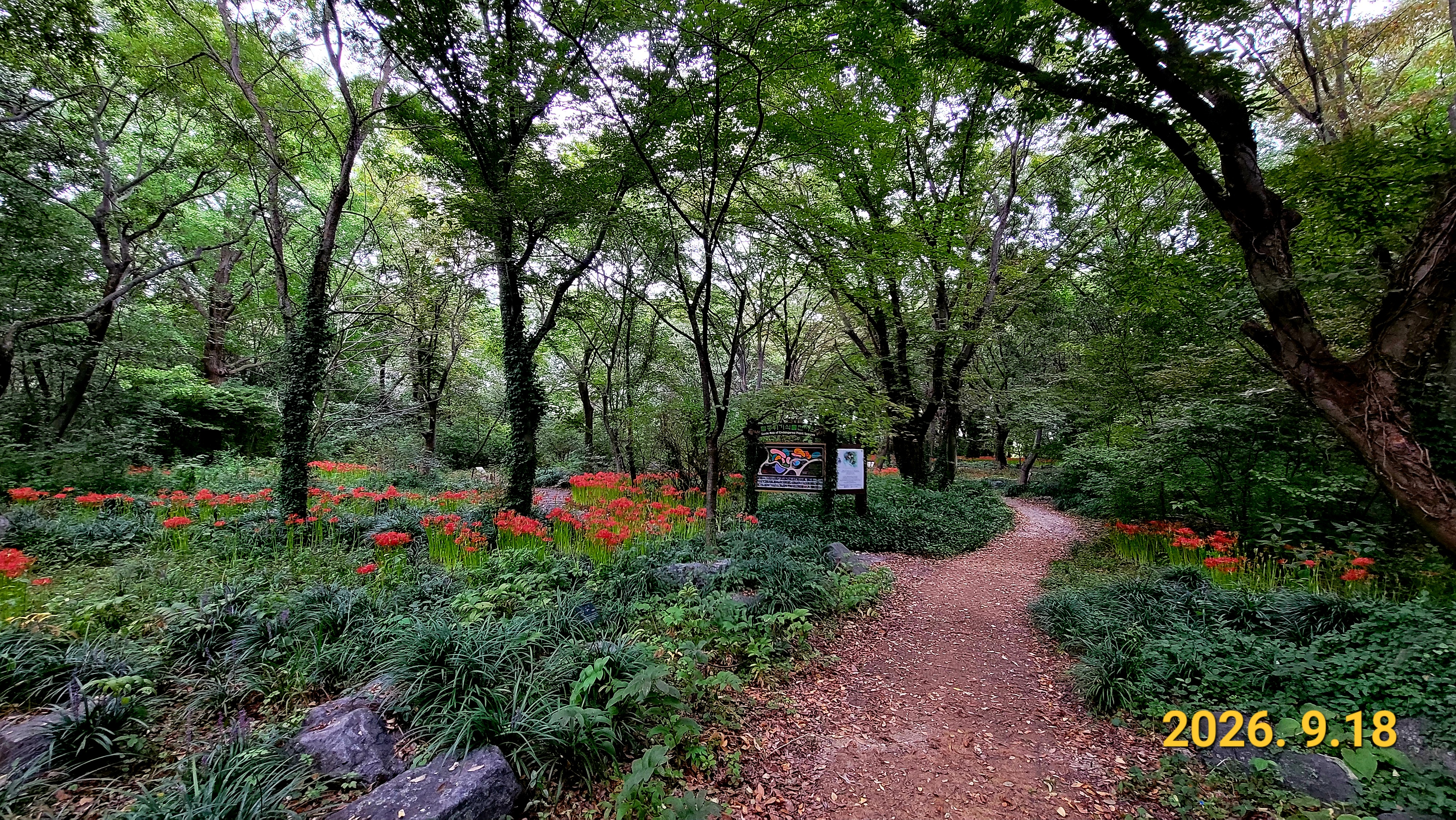 KakaoTalk_20260918_082733339_04.jpg